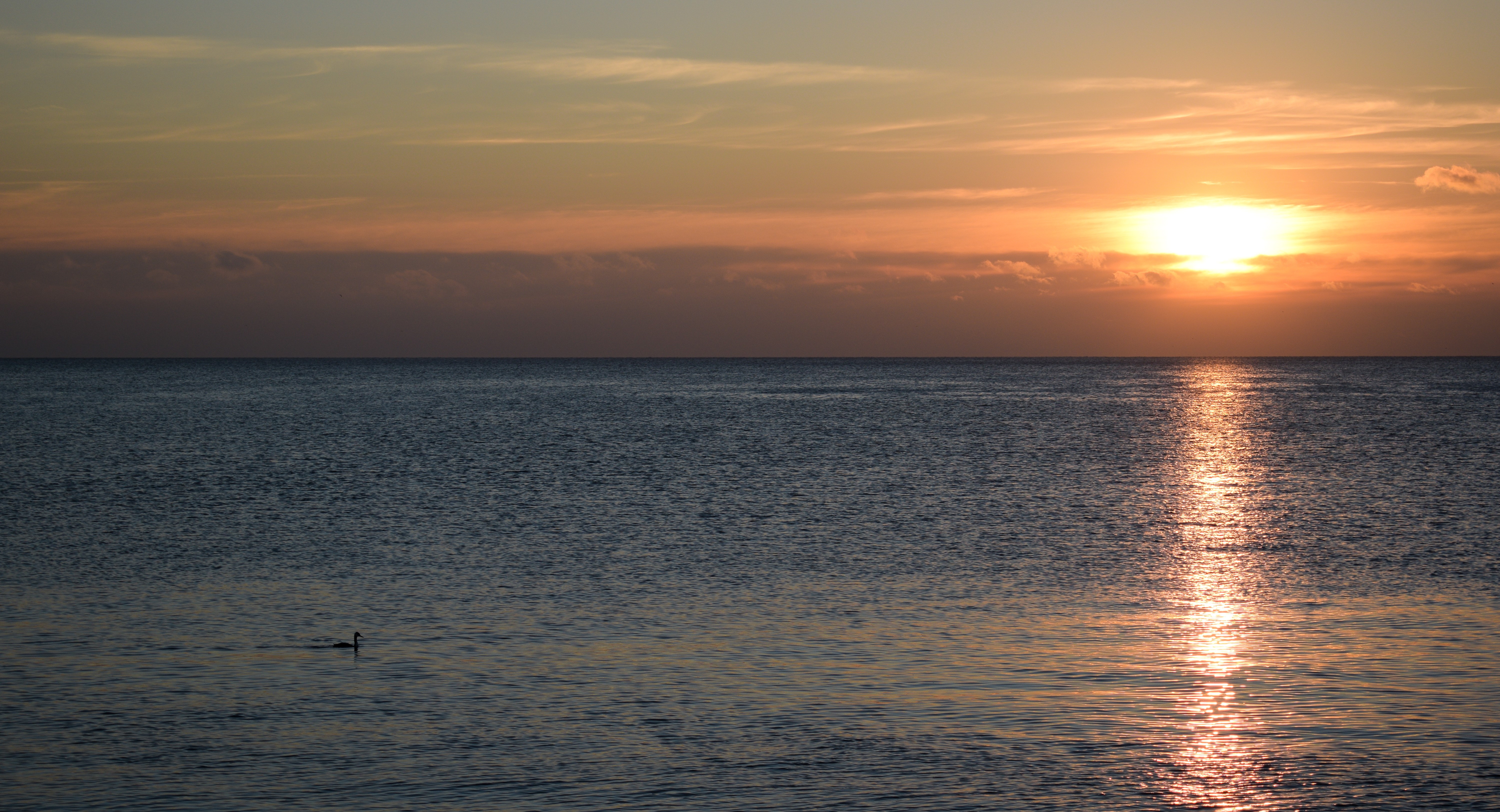 Sun, water, sea, sunset, reflection, HD Wallpaper