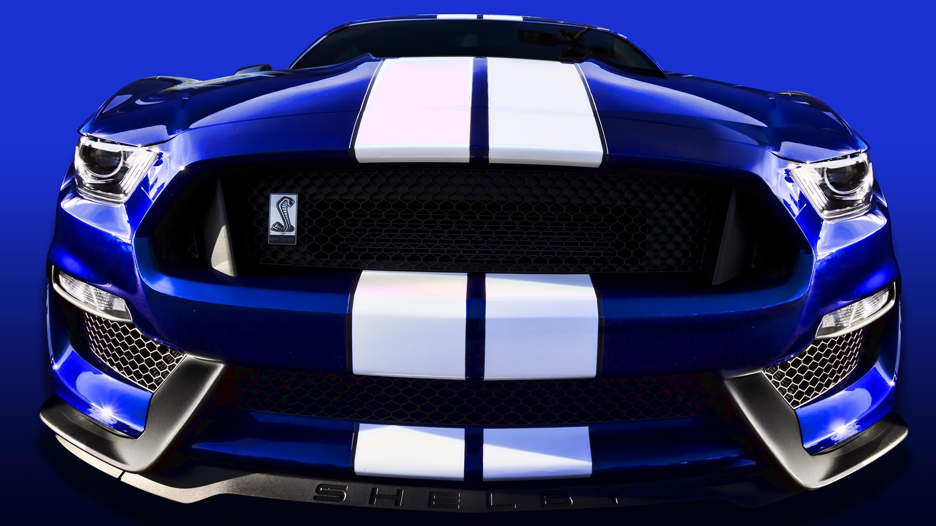 Ford Mustang, car, photography, Shelby GT350, front angle view, blue cars, blue, blue background, HD Wallpaper