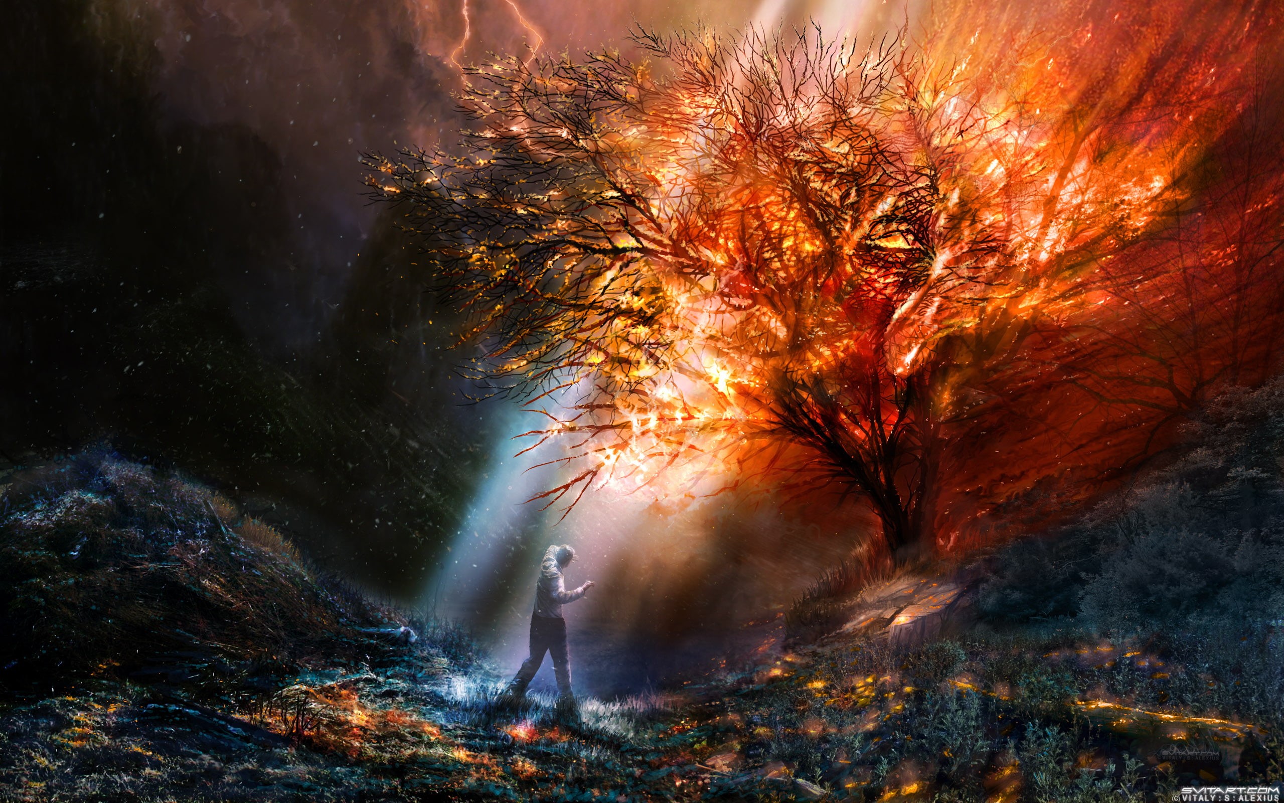 tree, illustration, fantasy art, sunlight, lifestyles, fire, change, artwork, Moses, autumn, front, fantasy, one person, land, trees, real people, landscape, HD Wallpaper