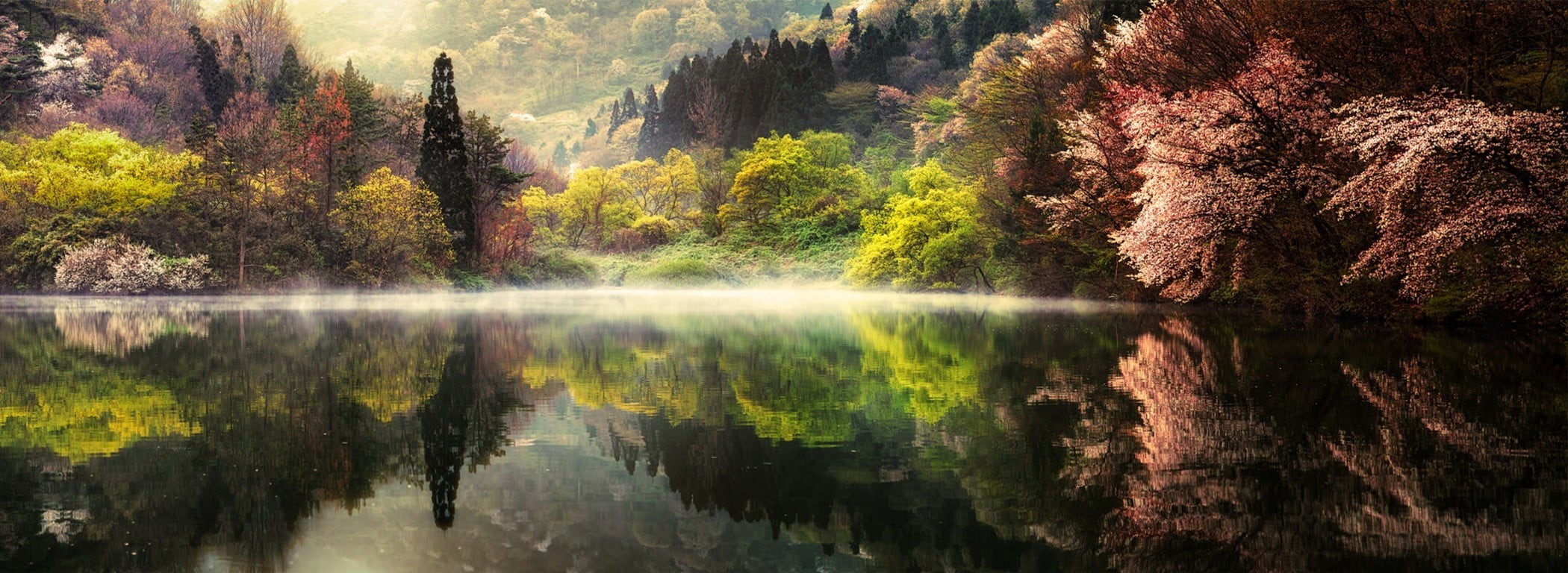 calm, autumn, idyllic, scenics - nature, lake, forest, non-urban scene, 1080P, land, day, mountains, South Korea, nature, beauty in nature, reflecting, HD Wallpaper