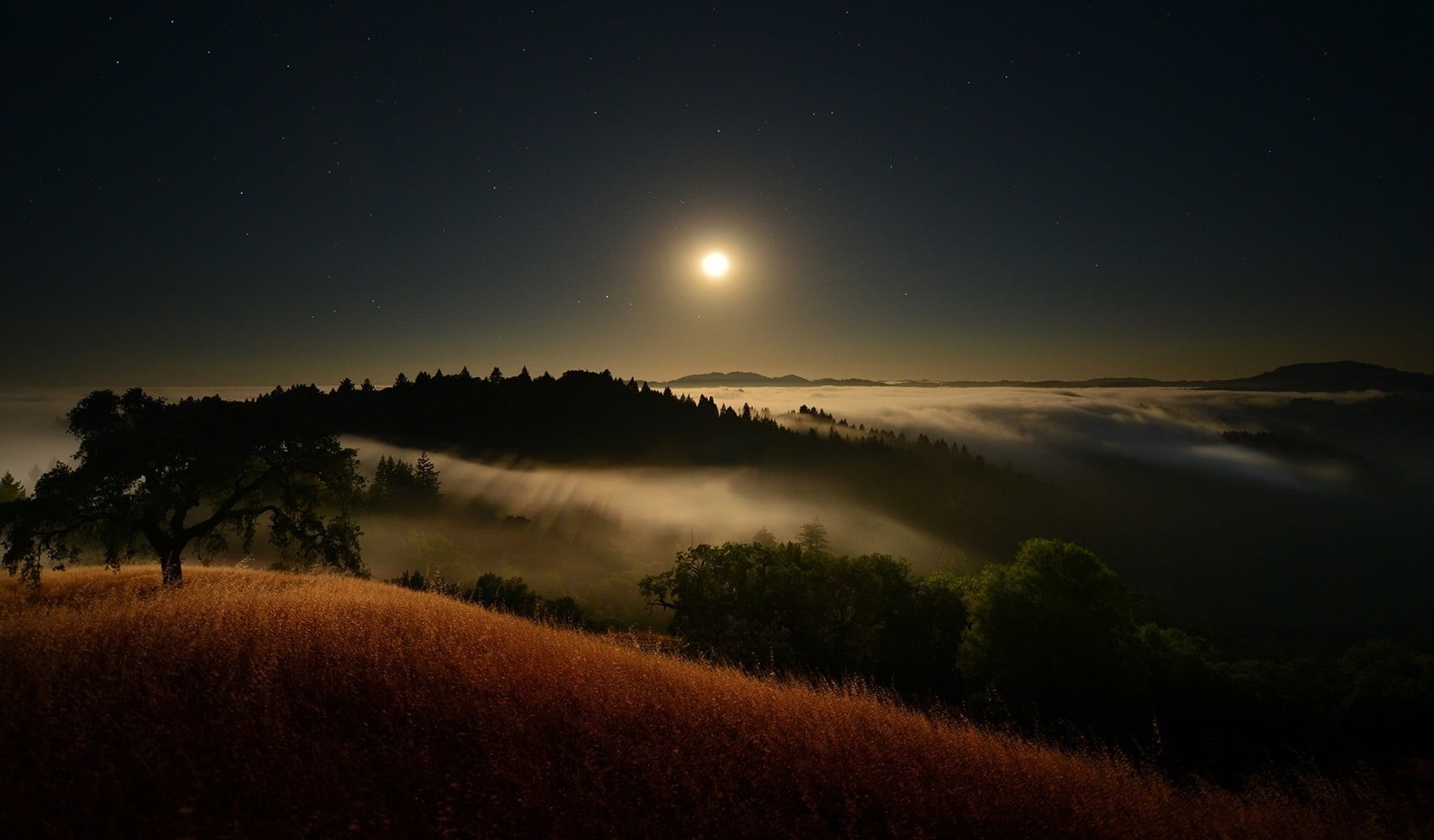 tranquility, sky, astrology, moonlight, fog, tree, nature, Moon, full moon, 720P, night, astronomy, beauty in nature, plant, landscape, no people, trees, HD Wallpaper
