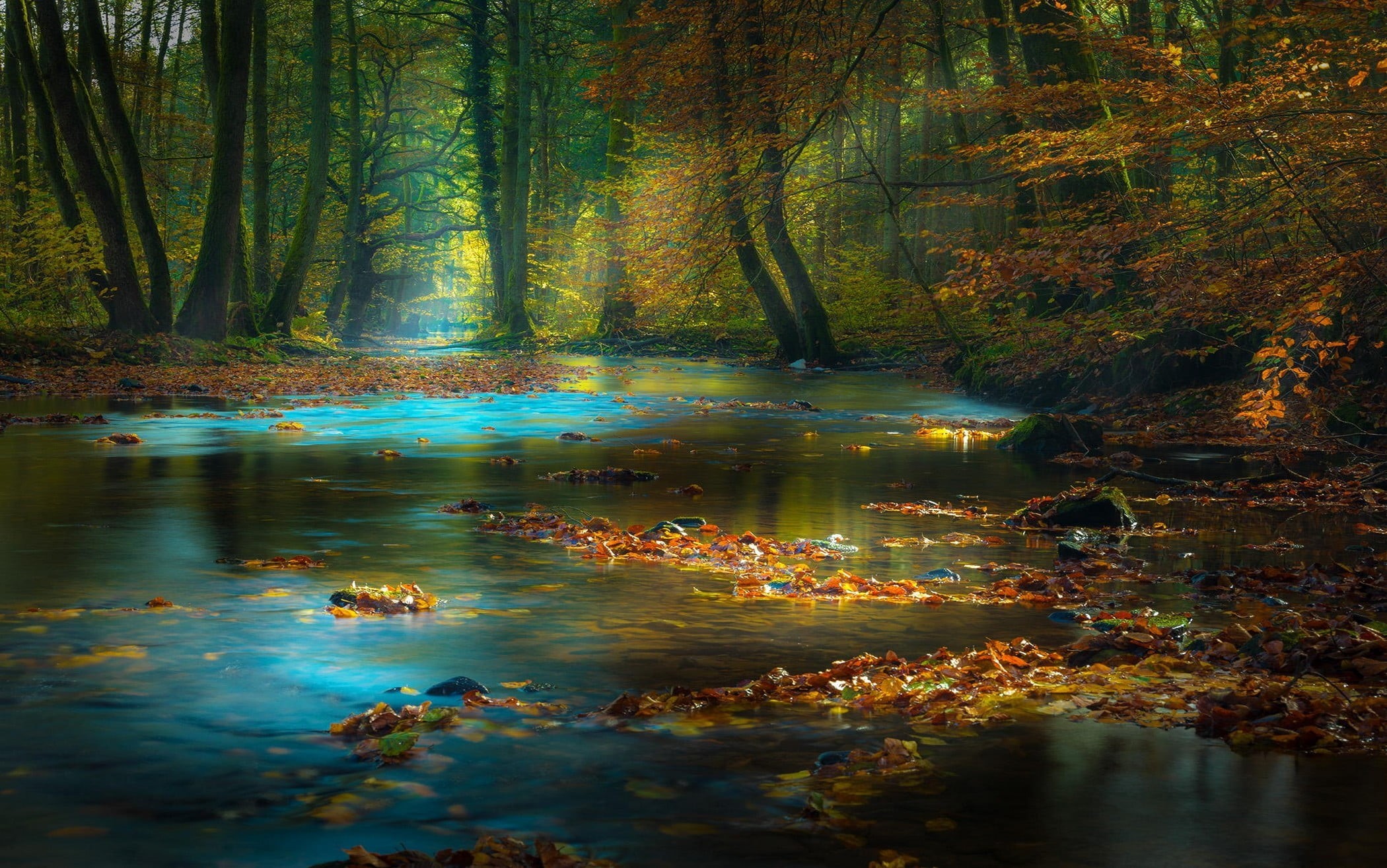 flowing water, colors, waterfall, land, tranquility, Germany, mist, leaf, nature, magic, outdoors, vibrant Color, reflection, morning, 1080P, red, beauty In Nature, HD Wallpaper
