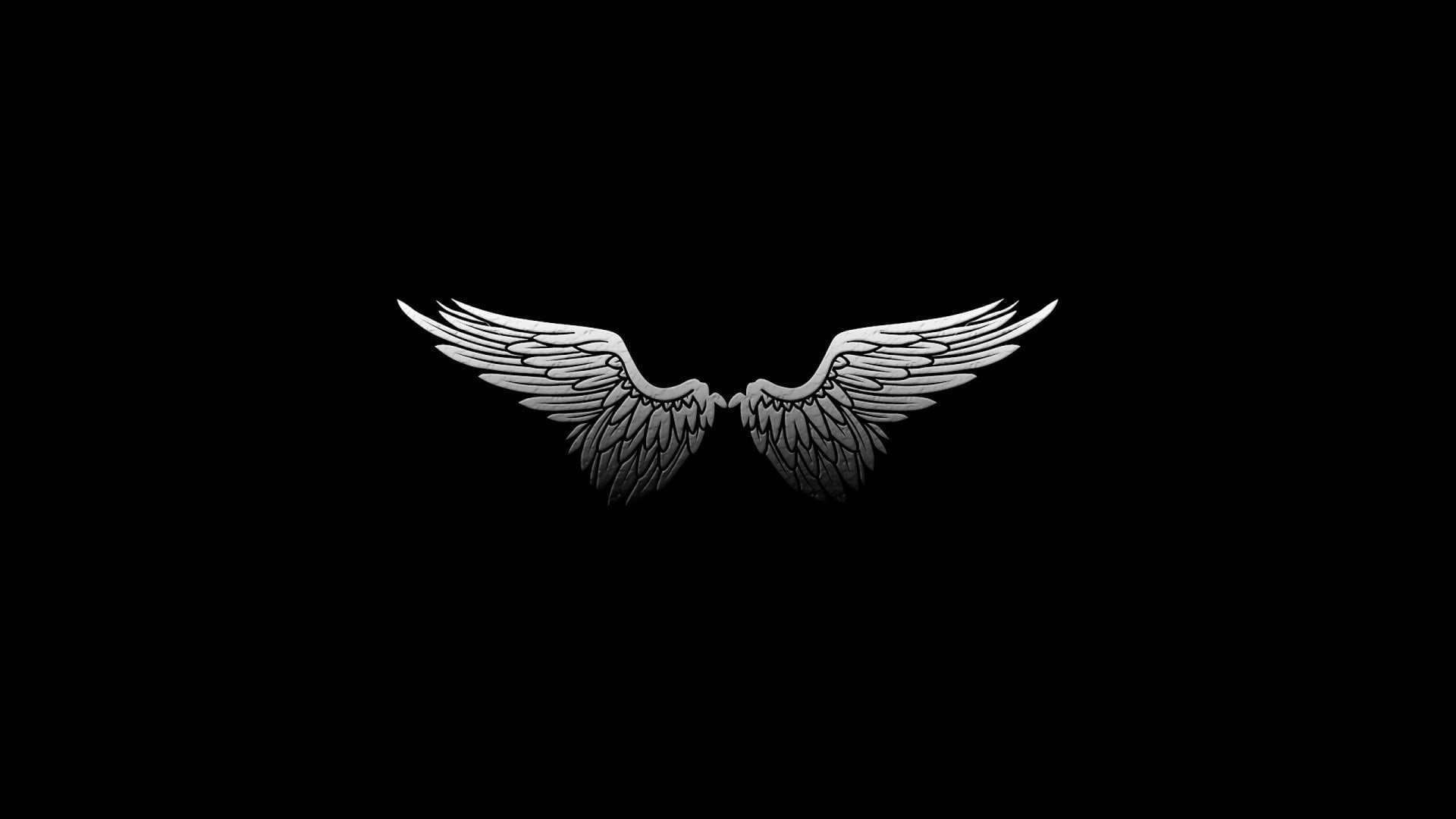 studio shot, art and craft, wings, minimalism, nature, black background, bird, digital art, animal, animal wildlife, feathers, indoors, copy space, butterfly - insect, HD Wallpaper