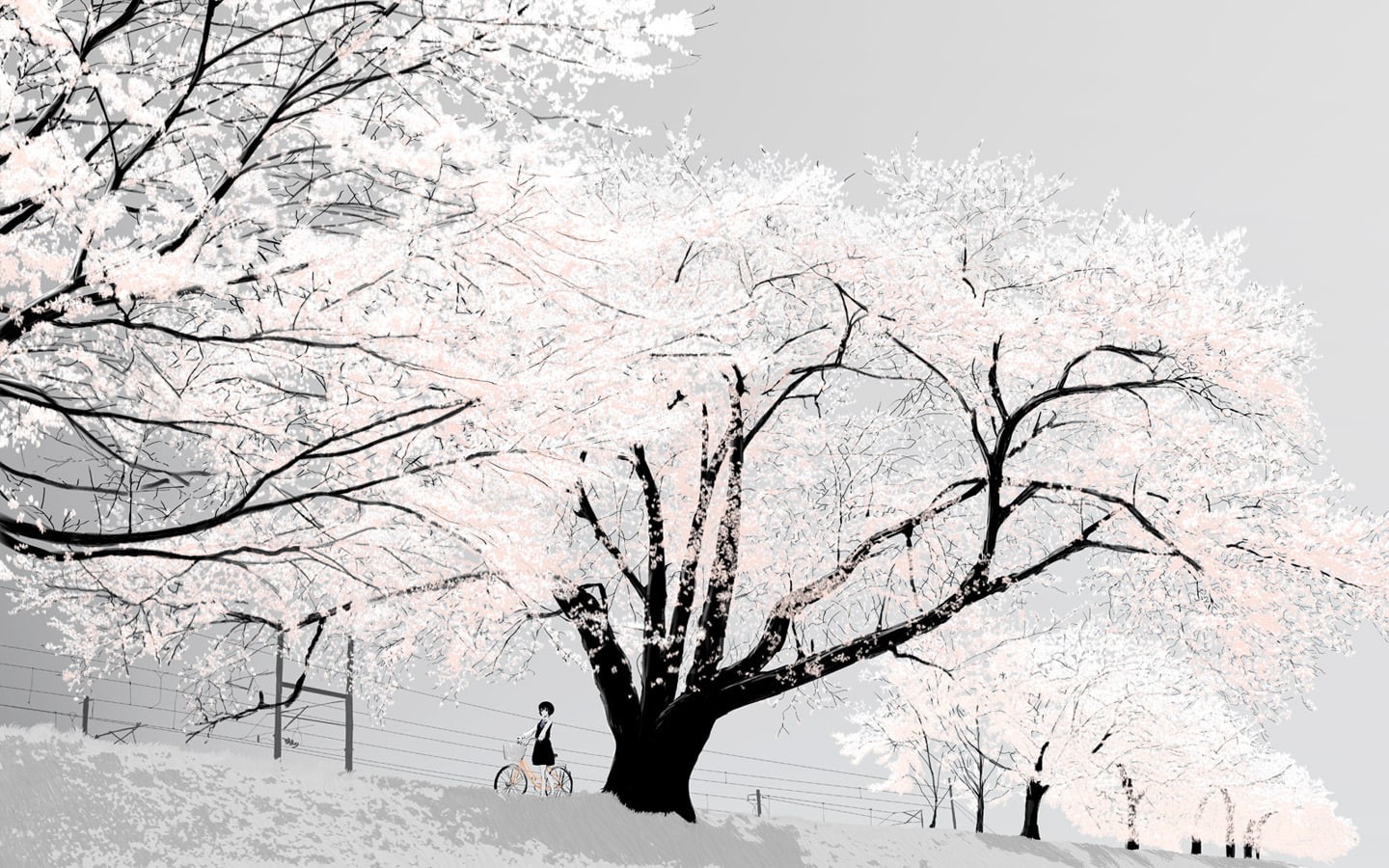 cherry, blossom, digital/artwork, trees, hd, 720P, HD Wallpaper