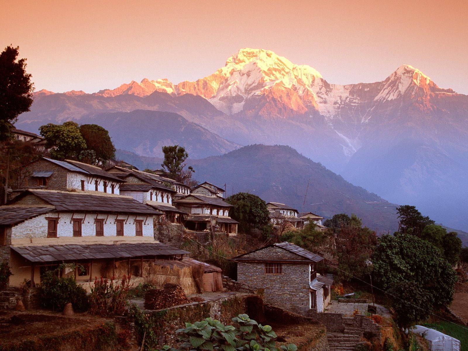 land, landscape, mountain, mountains, Ghandruk, architecture, no people, 720P, mountain range, environment, tree, building, white, house, nature, outdoors, HD Wallpaper
