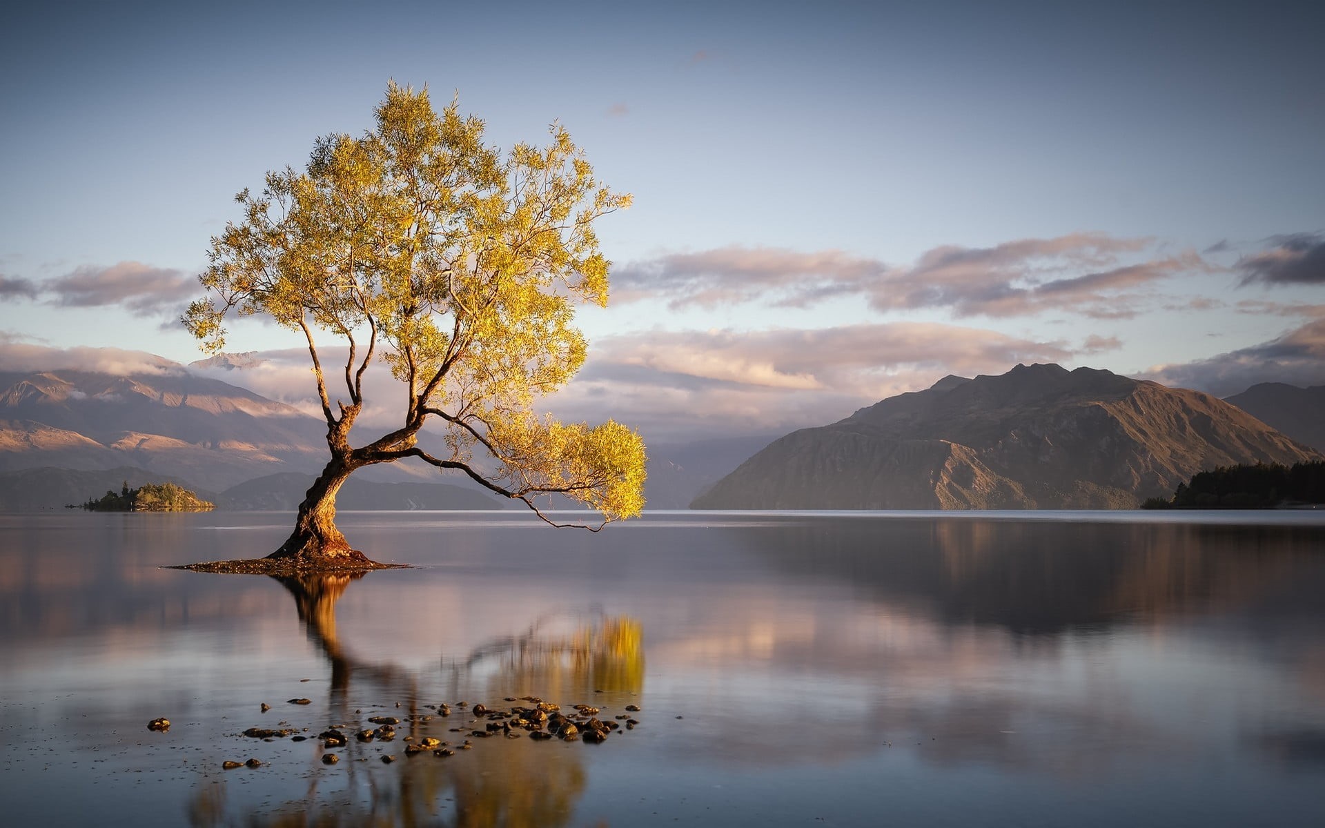 sunset, waterfront, sky, green, clouds, scenics - nature, water, 1080P, reflection, tranquil scene, plant, lake, mountains, mountain, landscape, tranquility, HD Wallpaper