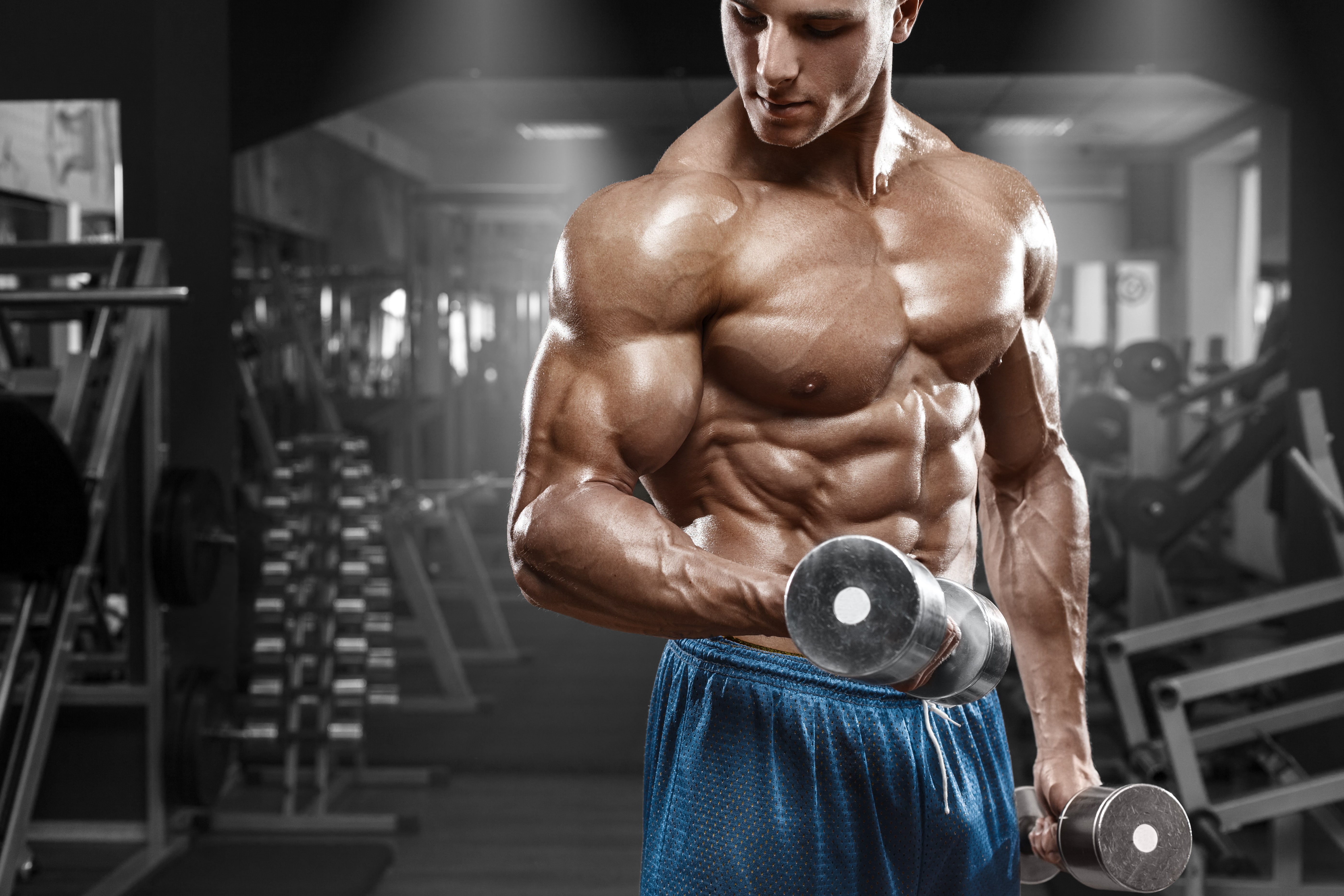 bottoms, working, workout, men, gym, 5K, s, man, blue, HD Wallpaper