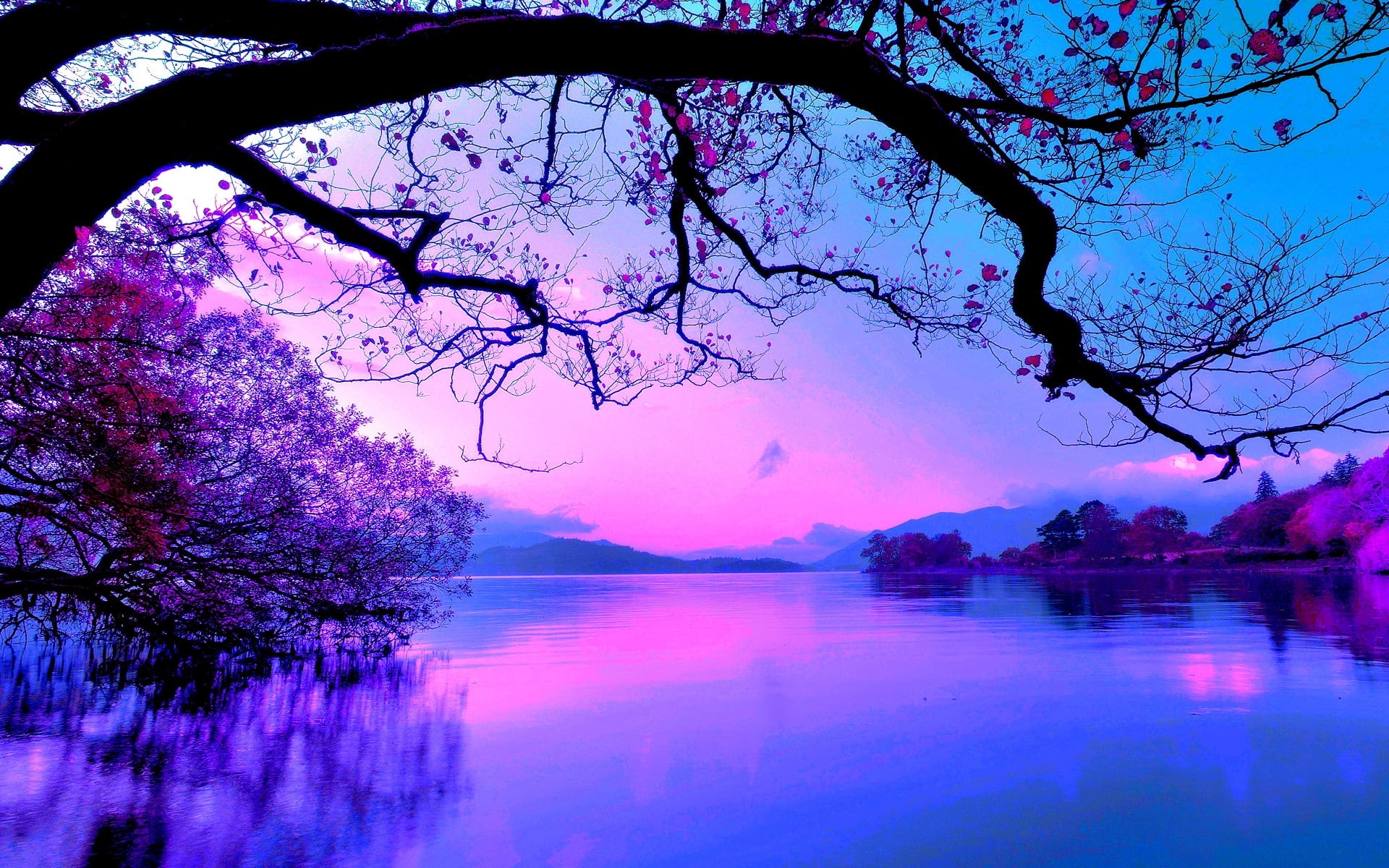 1920x1200, abstract, 1080P, Beautiful, wide, nature, HD Wallpaper