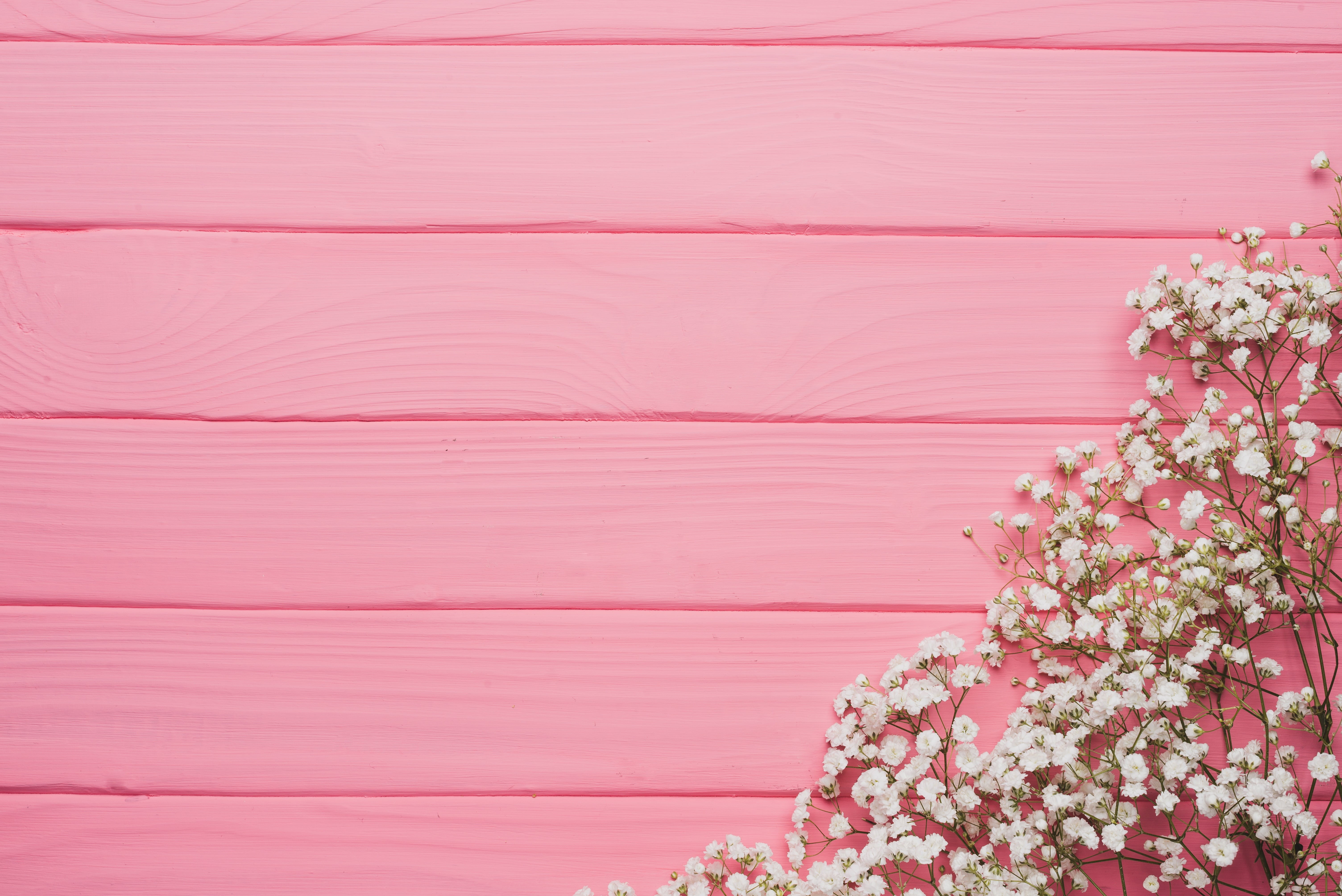 full frame, backgrounds, floral, flowering plant, flowers, close-up, bouquet, petal, flower, tree, season, summer, texture, pink Color, breath, decoration, HD Wallpaper