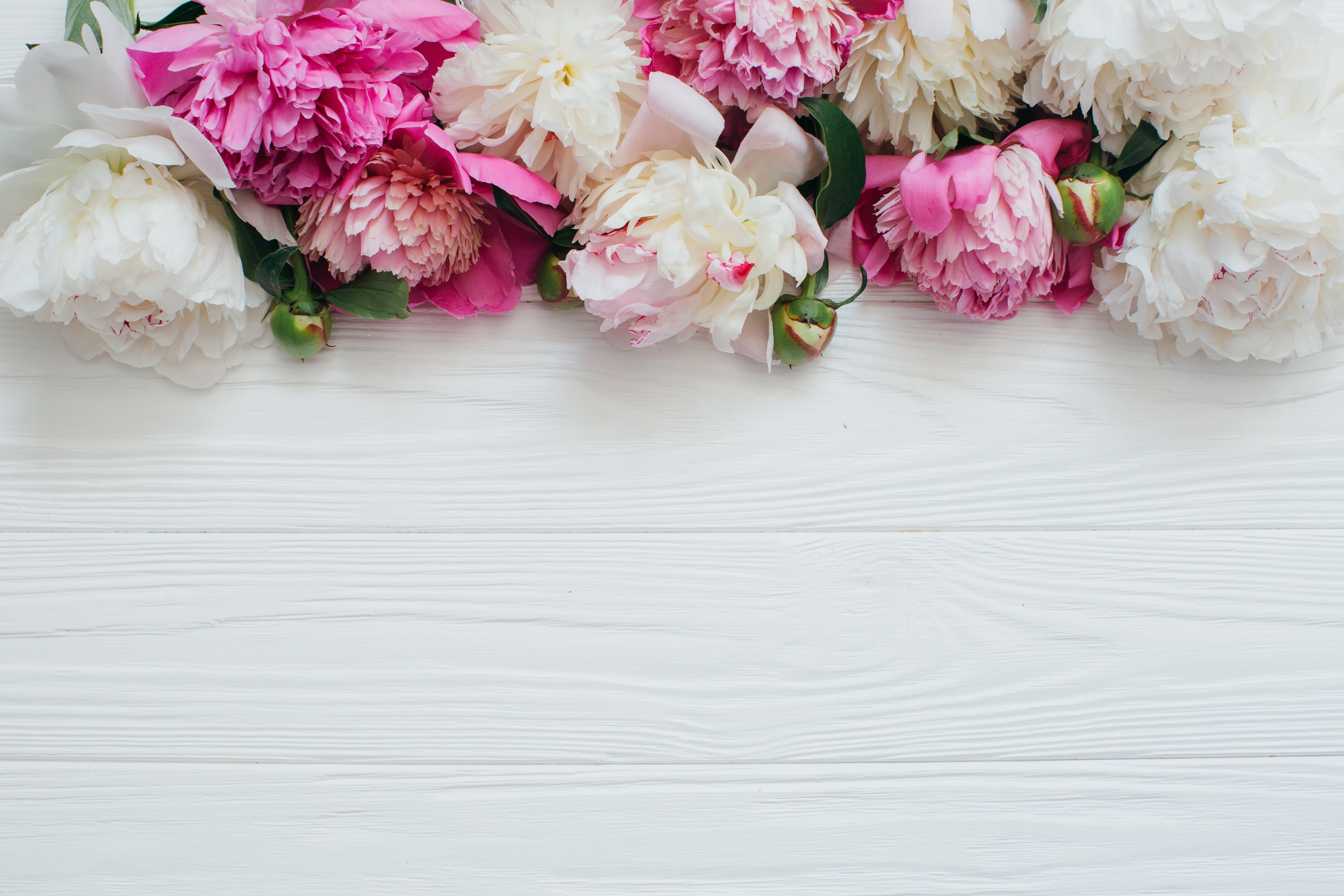 celebration, beauty in nature, 5K, indoors, wedding, backgrounds, White, space, petal, table, wood - Material, summer, peony, bouquet, day, love, romance, HD Wallpaper