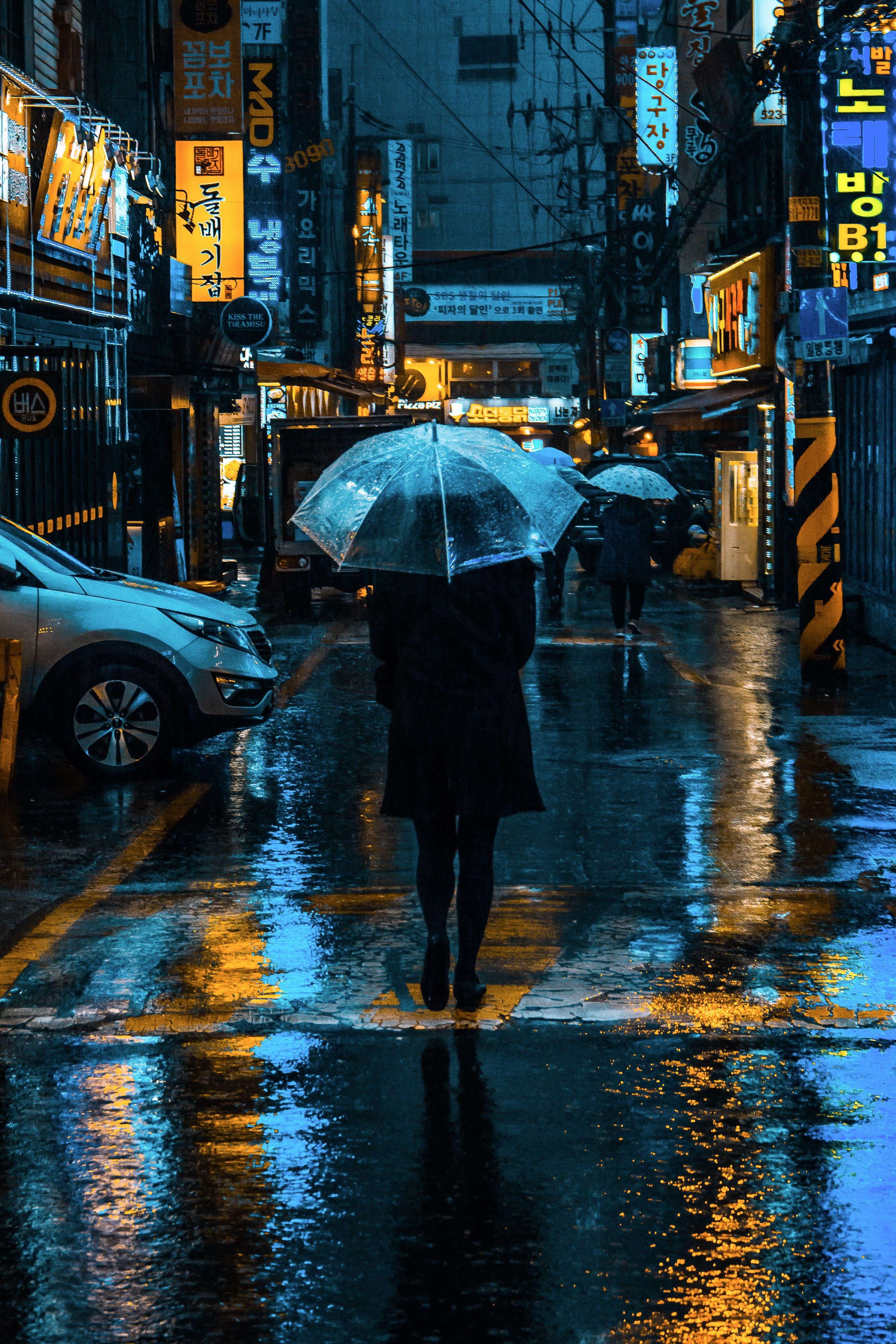 city street, city, umbrella, middle, sign, illuminated, rainy season, seoul, built structure, reflection, architecture, transportation, yellow, neon, wet, Phone HD Wallpaper