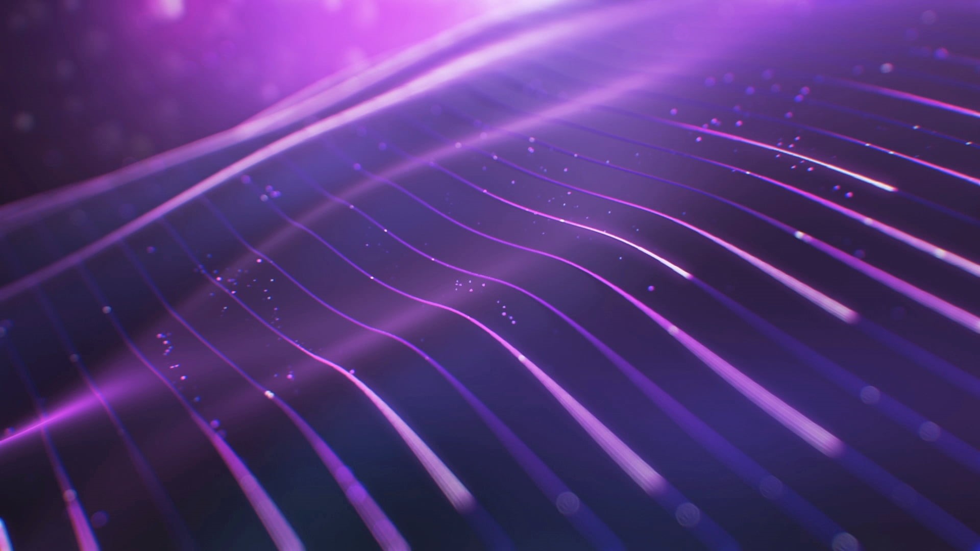 untitled, backgrounds, abstract, nature, red, lines, star - space, full frame, technology, wave pattern, laser, no people, digital art, creativity, purple, HD Wallpaper