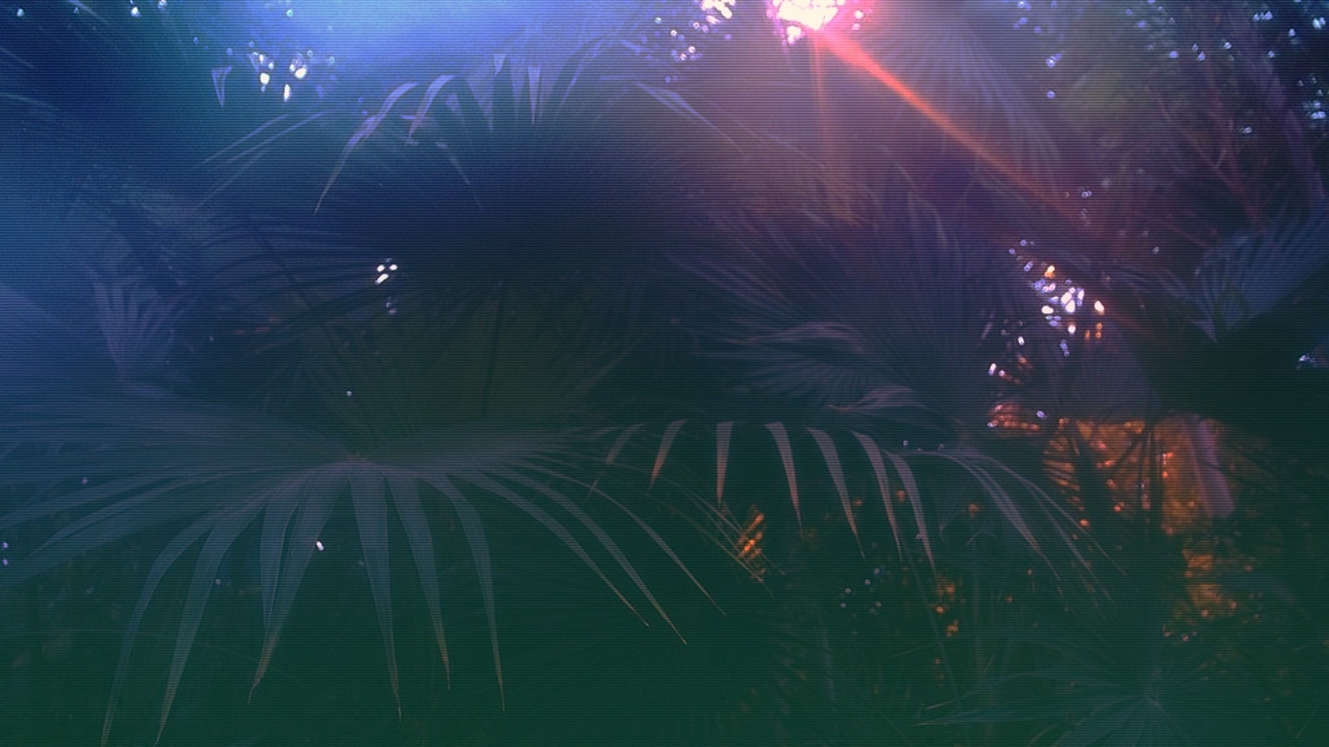 glitch art, vaporwave, 1080P, HD Wallpaper