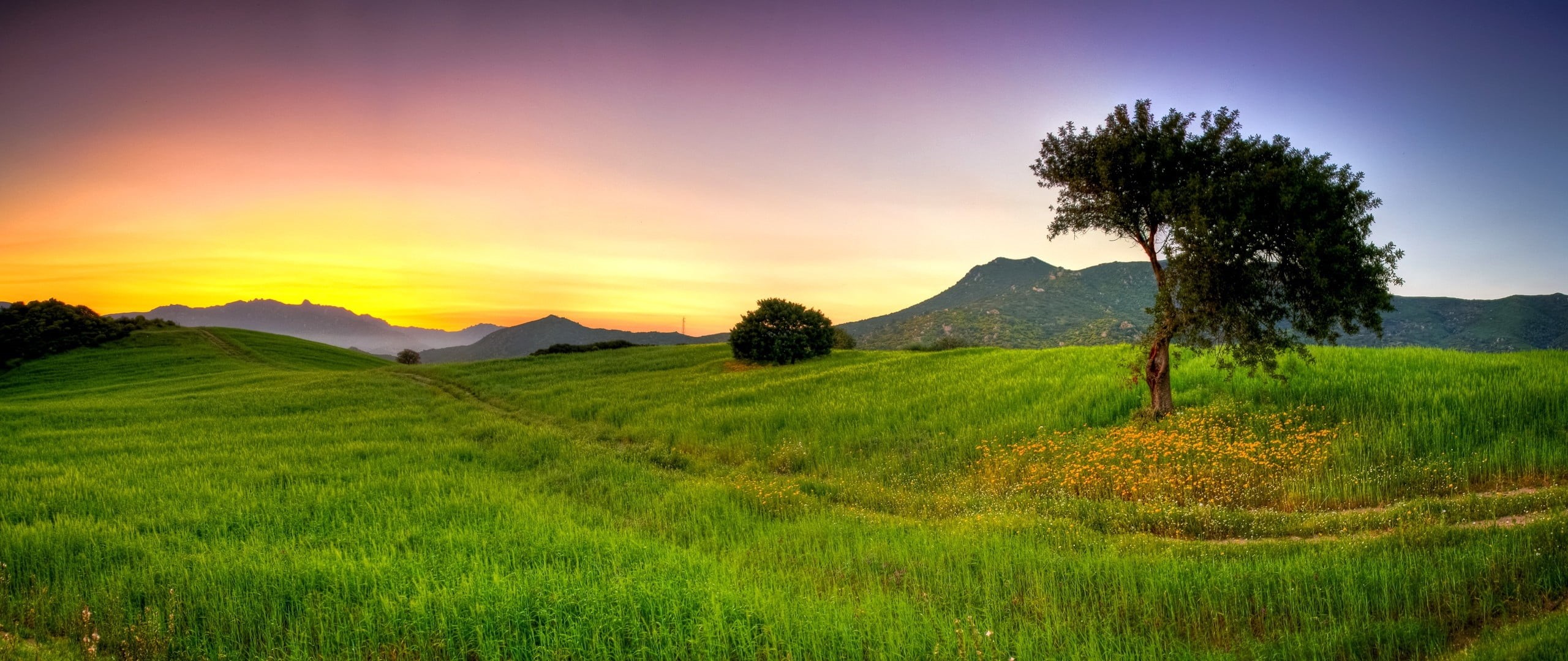 beauty In Nature, backgrounds, agriculture, rural Scene, plant, cloud - Sky, scenics - nature, tranquility, valley, mountain range, nature, light - Natural Phenomenon, HD Wallpaper