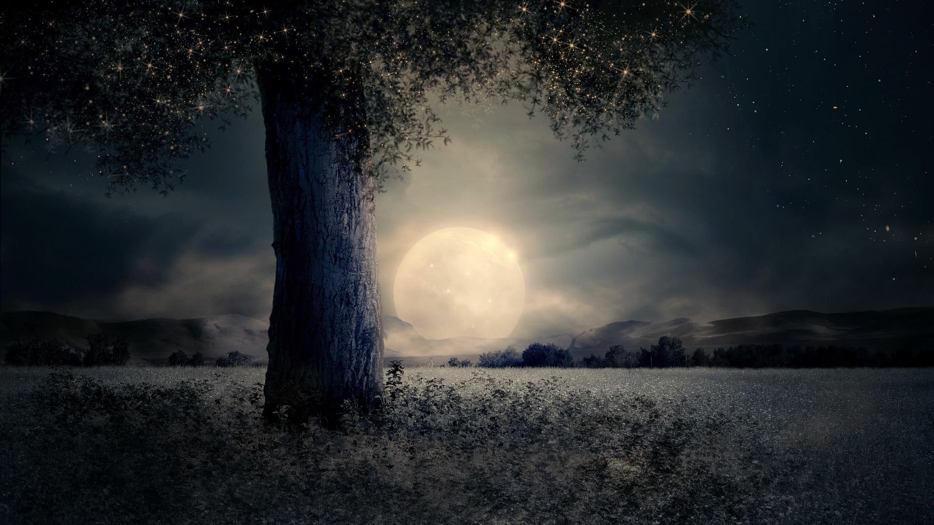 non-urban scene, growth, horizon, starry sky, full moon, no people, cloud - sky, stars, scenics - nature, beauty in nature, 1080P, outdoors, land, nature, HD Wallpaper