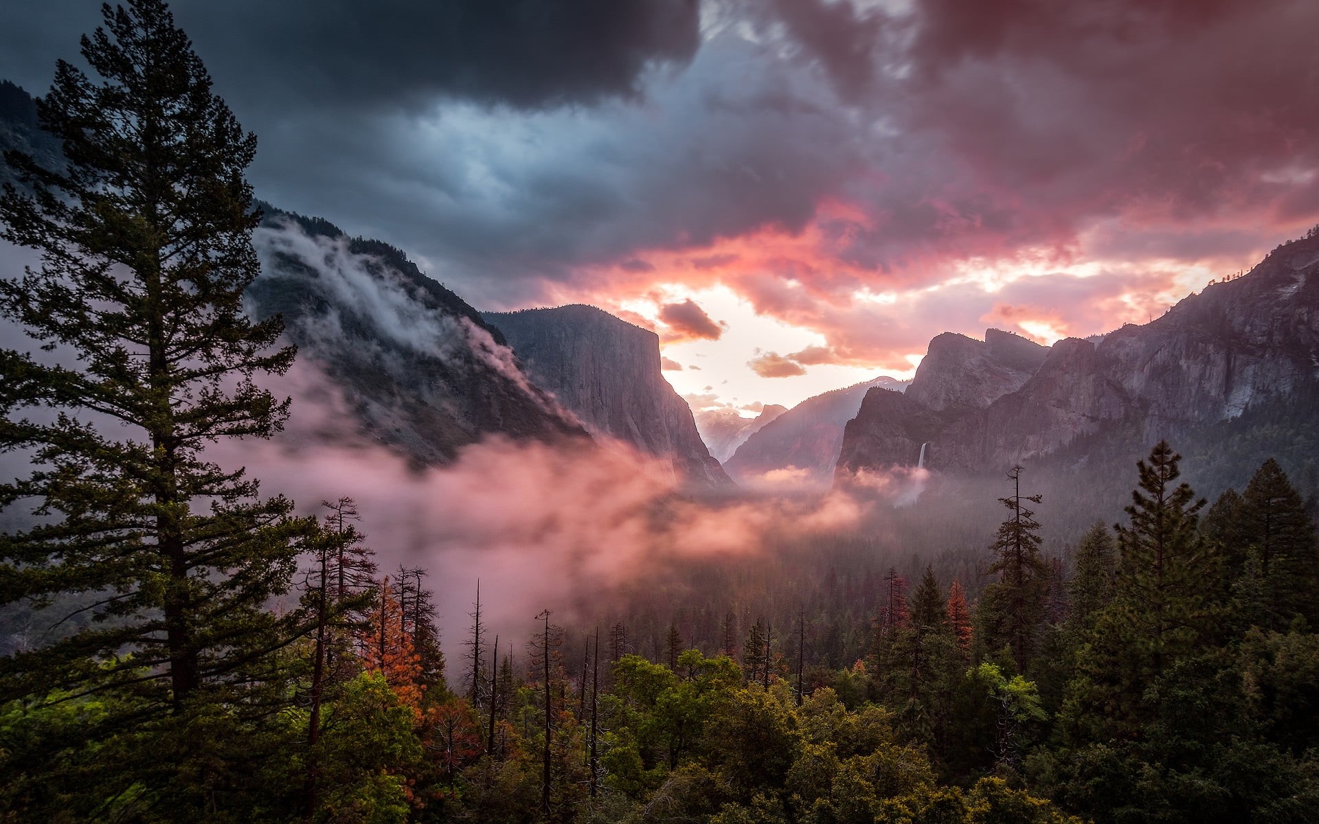landscape, sky, tree, coniferous tree, cloud - sky, tranquility, no people, scenics - nature, beauty in nature, non-urban scene, mountain peak, forest, HD Wallpaper