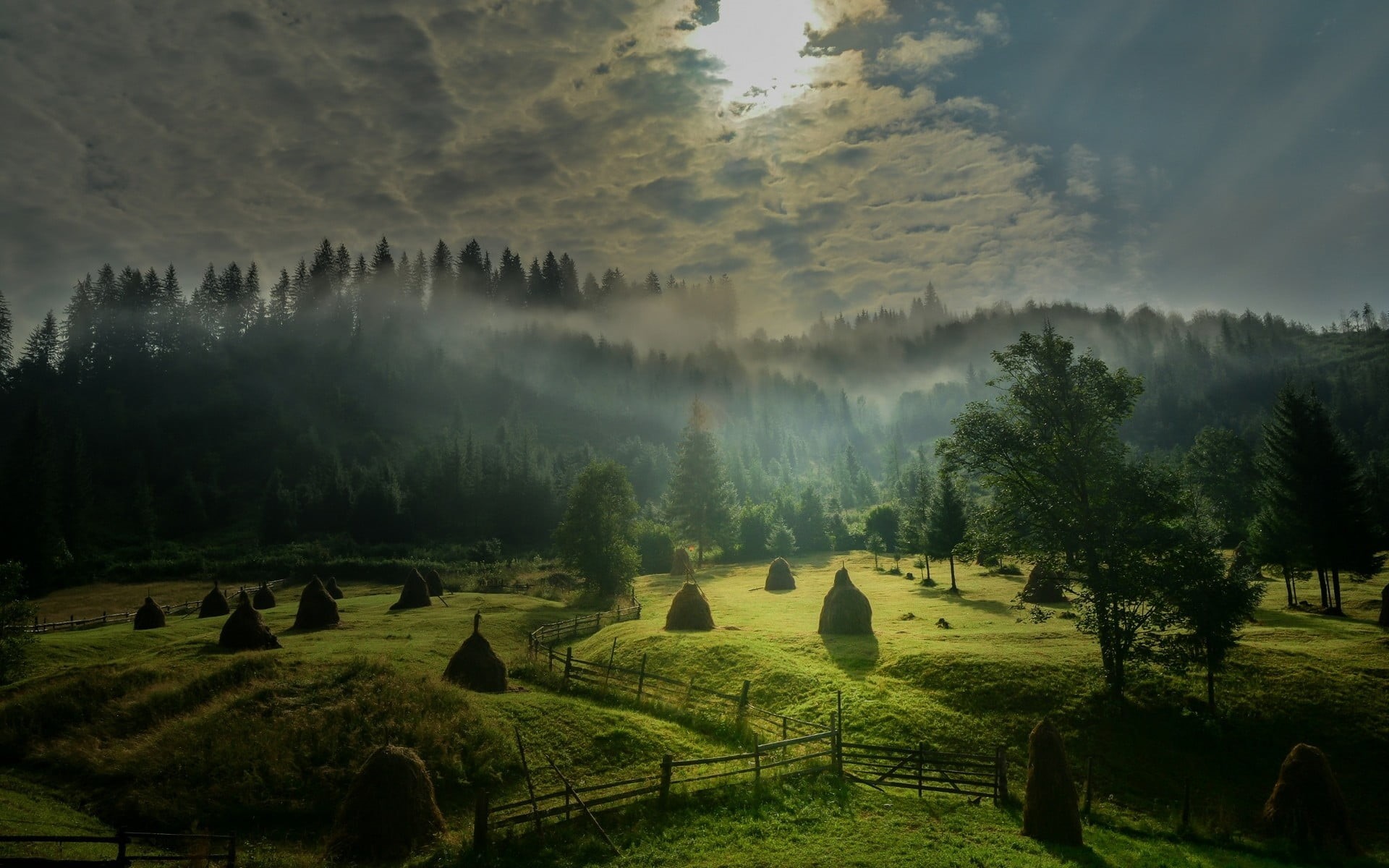 green, morning, idyllic, cloud - sky, beauty in nature, clouds, tree, fog, scenics - nature, landscape, tranquil scene, forest, no people, hay, land, trees, HD Wallpaper