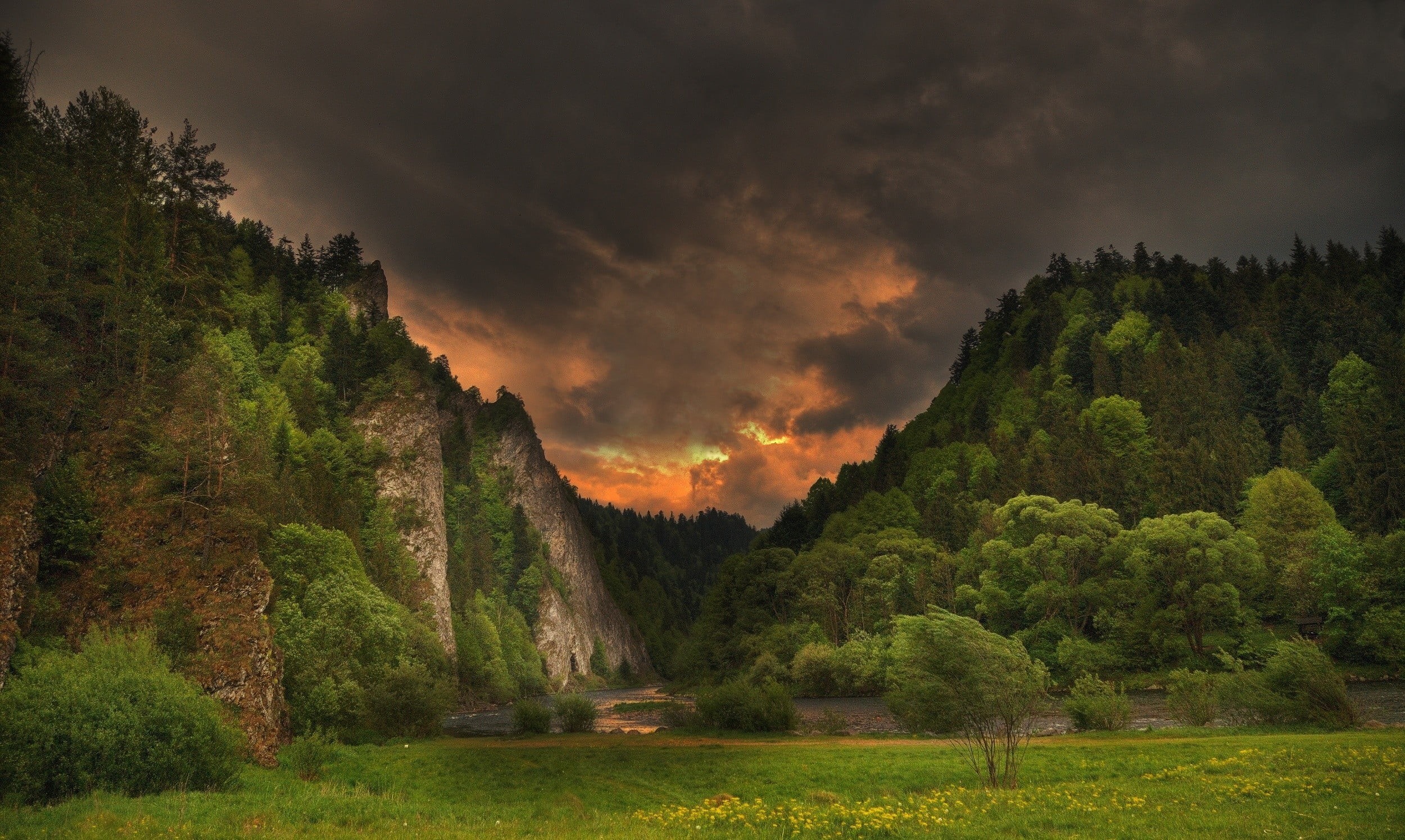 tranquility, grass, green, storm, growth, scenics - nature, 1080P, plant, cloud - sky, land, field, green color, cliff, forest, beauty in nature, sky, HD Wallpaper