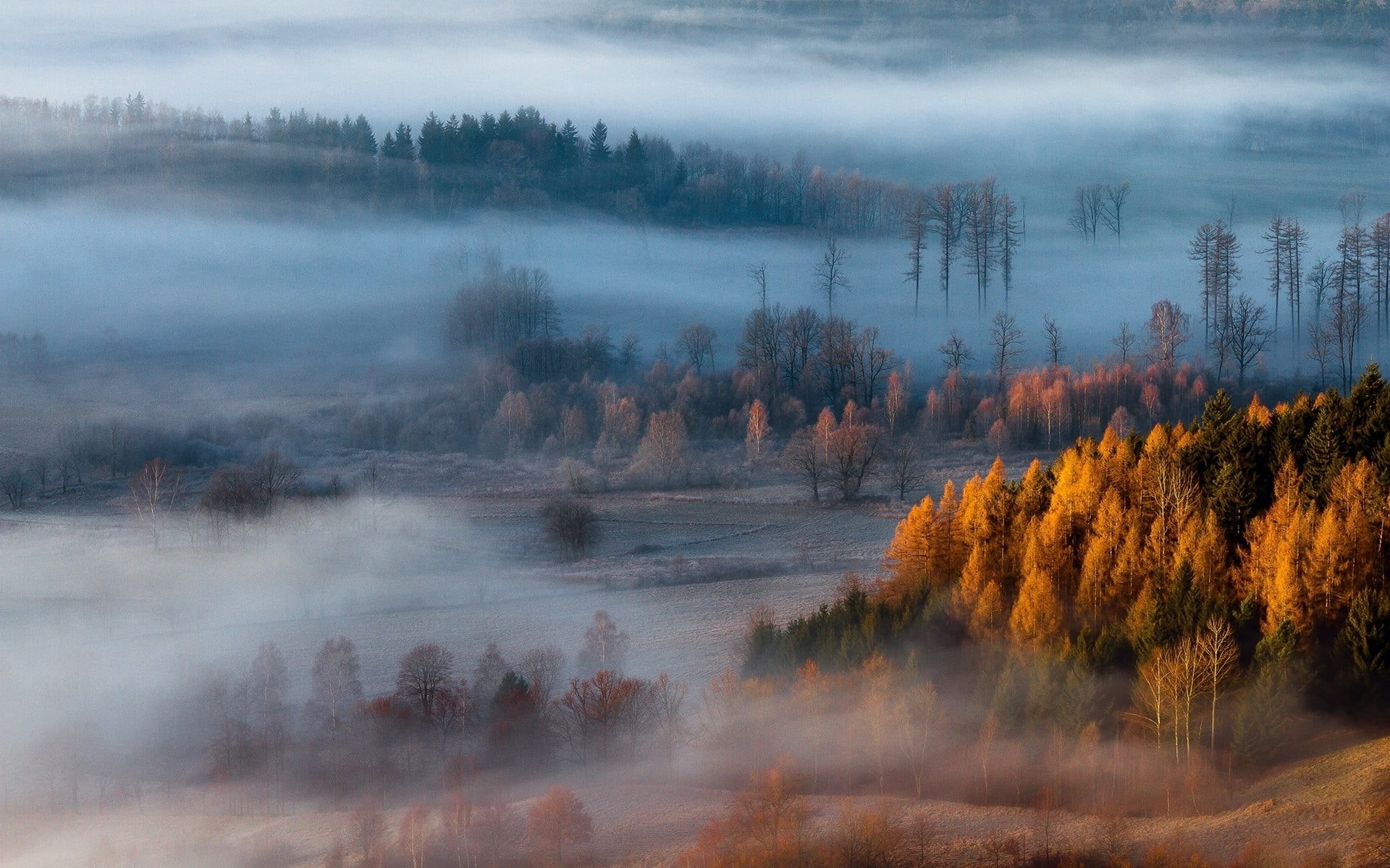 growth, sunlight, 1080P, green Color, dawn, fog, multi Colored, cloud - Sky, colors, photography, season, fall, brown, red, mountain Range, wilderness Area, HD Wallpaper