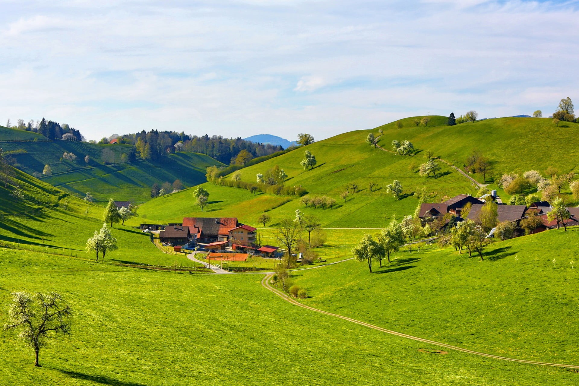 rural scene, outdoors, trees, environment, tranquil scene, architecture, building exterior, day, land, green, scenics - nature, rolling landscape, field, HD Wallpaper