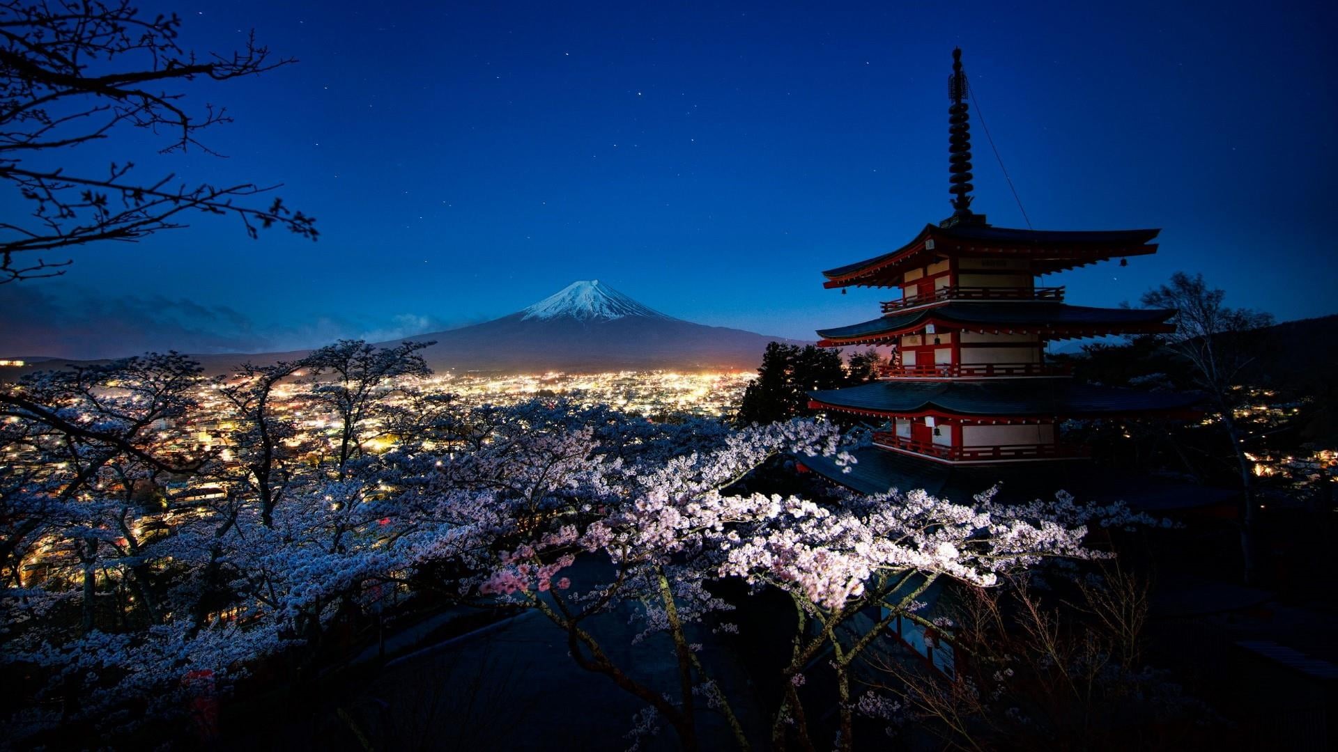 chureito pagoda, building exterior, travel destinations, shrine, beauty in nature, winter, place of worship, evening, built structure, dusk, landmark, belief, HD Wallpaper