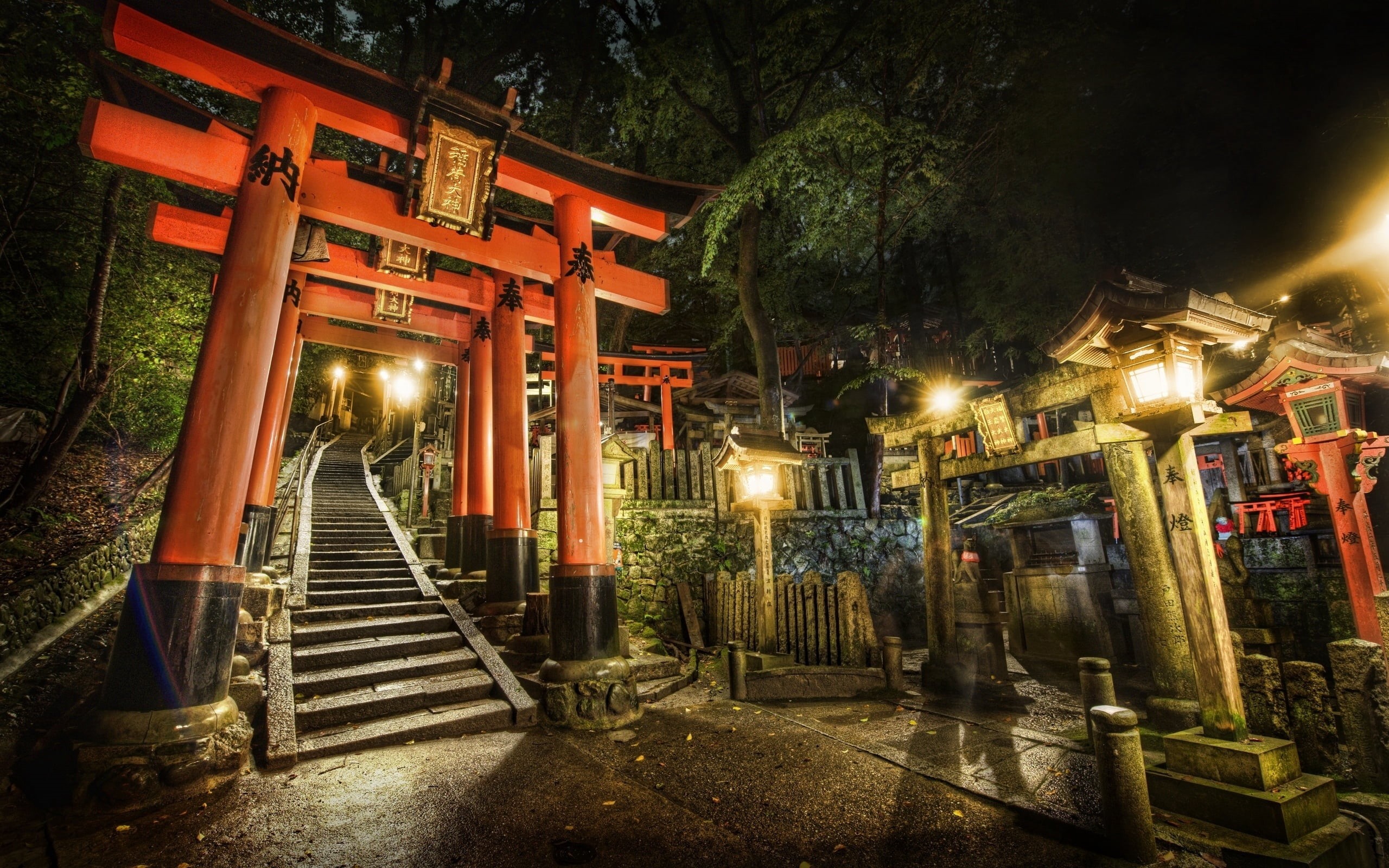 history, japanese Culture, no people, direction, illuminated, japan, torii Gate, plant, kyoto City, east Asian Culture, architecture, tourism, shinto, the way forward, HD Wallpaper
