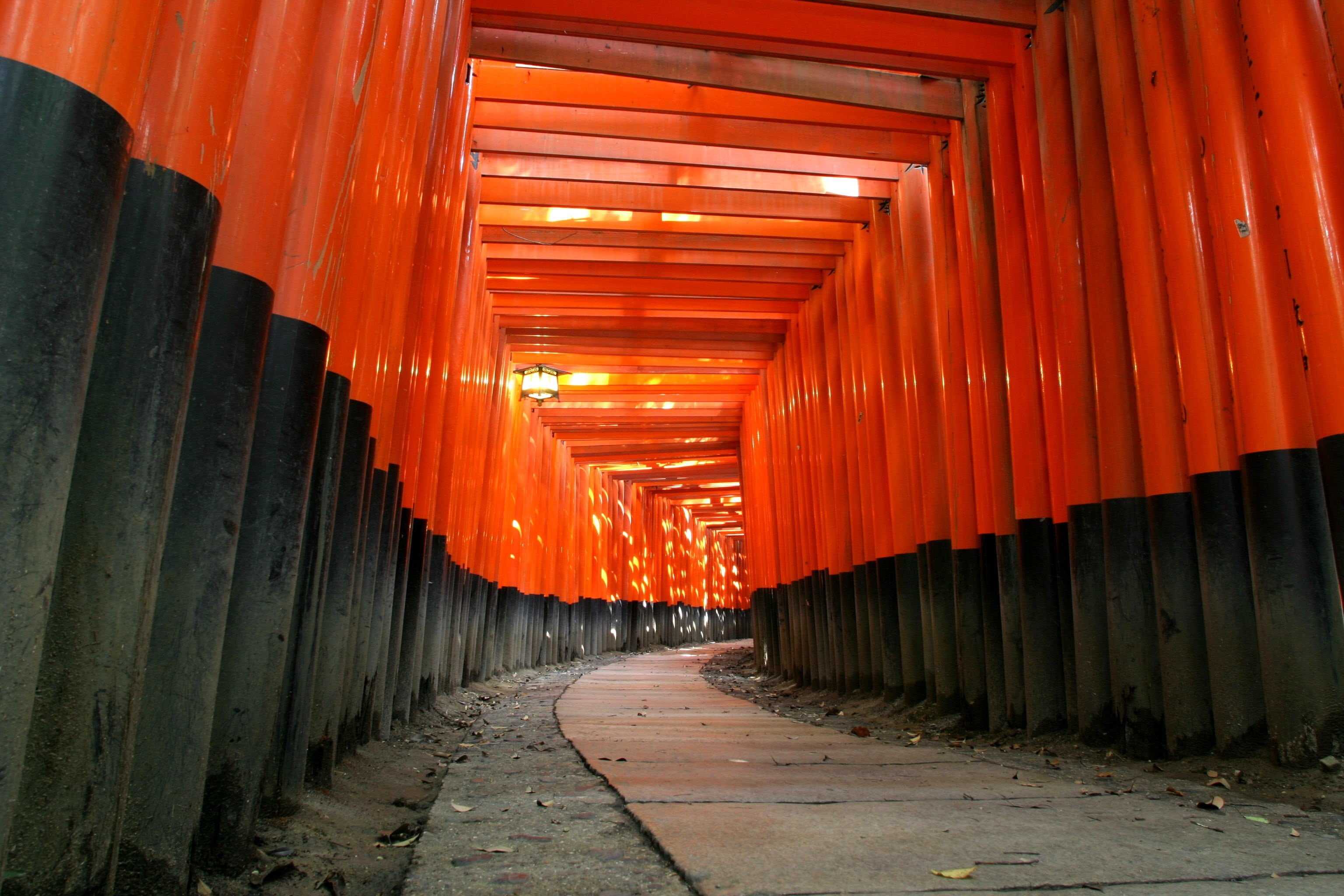 direction, orange color, Japan, building, footpath, belief, religion, indoors, place of worship, black, diminishing perspective, ceiling, in a row, no people, HD Wallpaper
