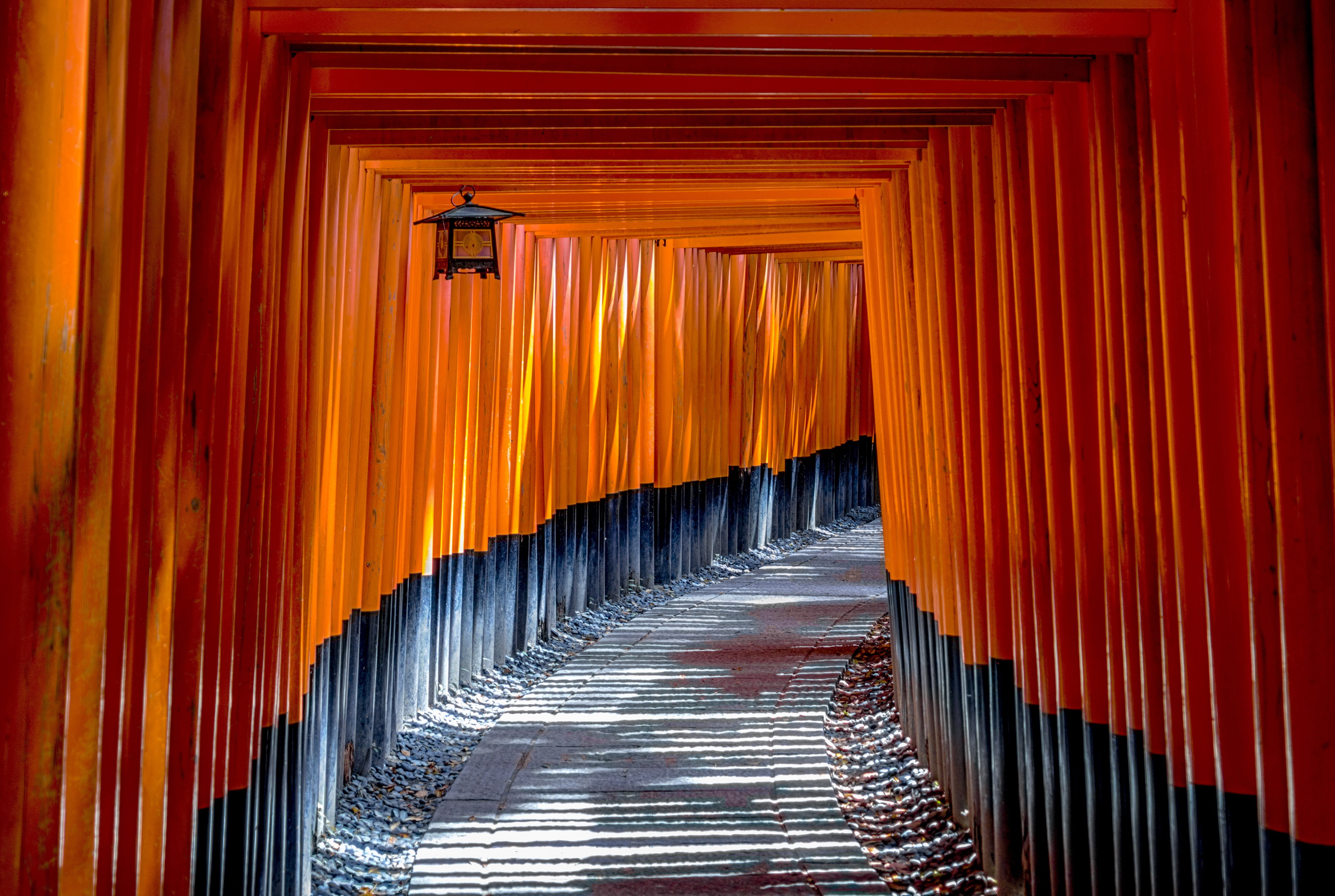 no people, architecture, traditional, japan, entrance, travel destinations, board, religion, landmark, building, shinto, 5K, tourism, famous, zen, the way forward, HD Wallpaper