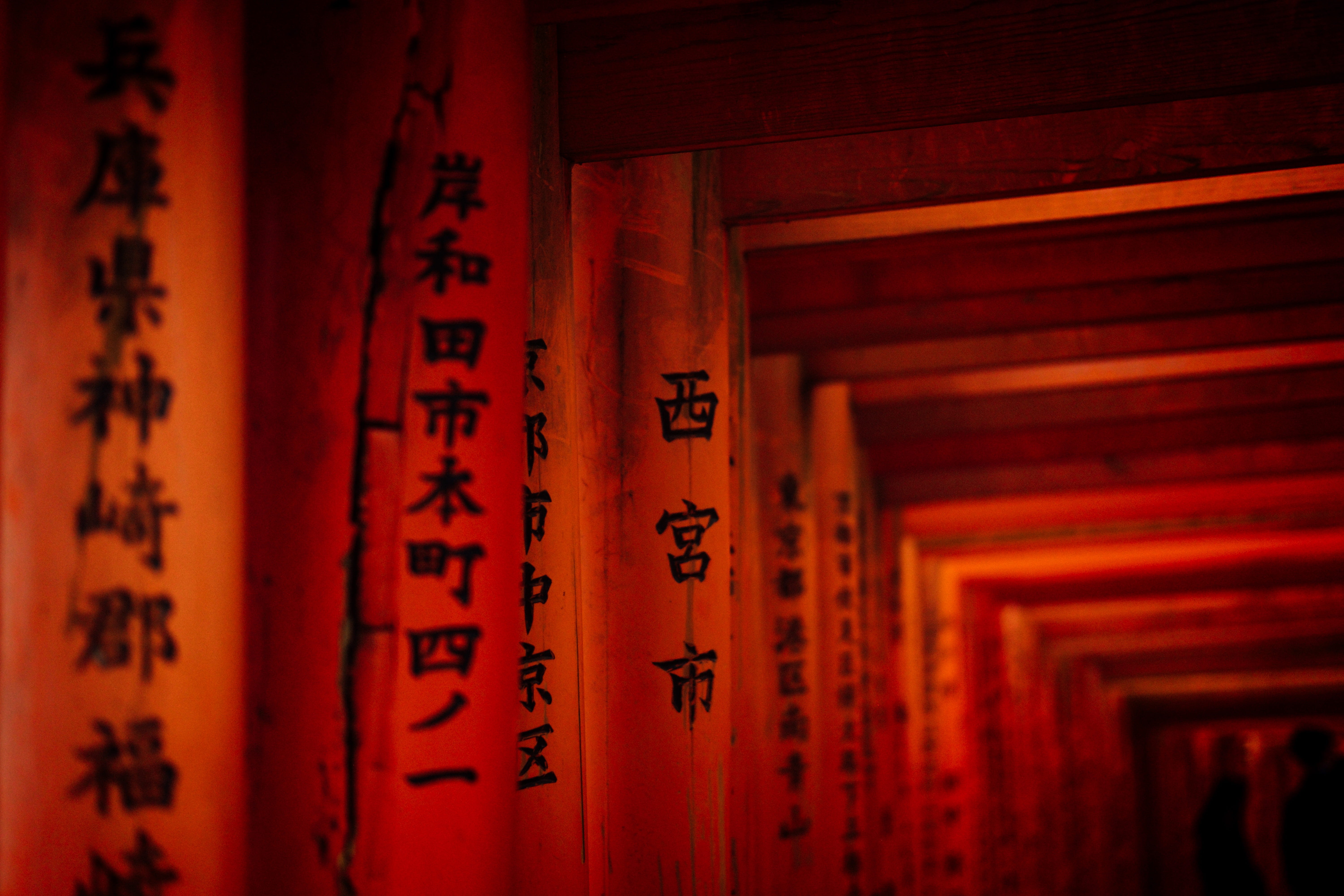 gate, architecture, selective focus, kyoto, classical style, indoors, calligraphy, gates, 5K, concrete, religion, script, non-western script, temple, wood - material, HD Wallpaper