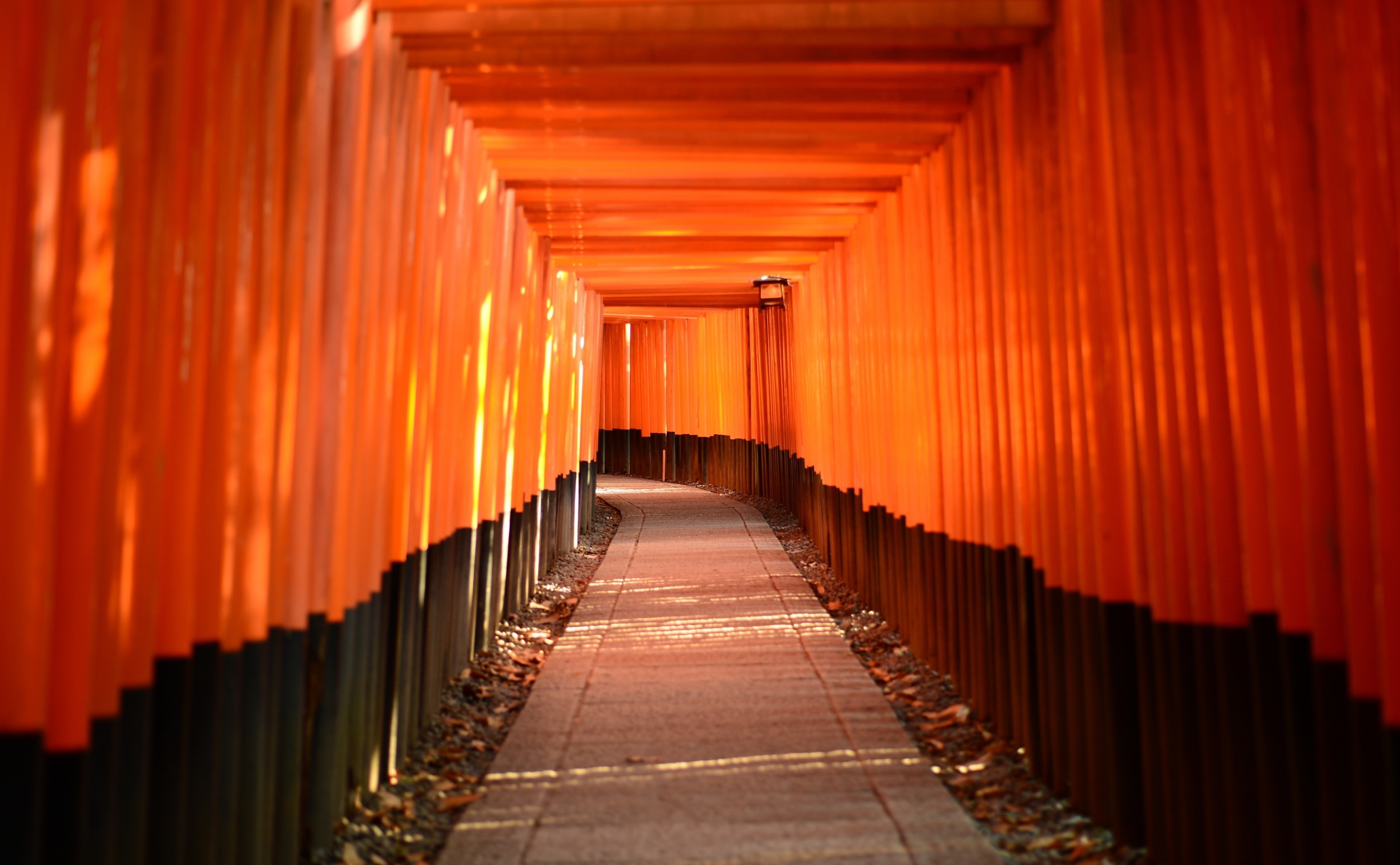 hd, travel, Asia, Fushimi Inari-taisha, 4K, kyoto, place of worship, orange color, Black, architecture, pavement, belief, gray, diminishing perspective, HD Wallpaper