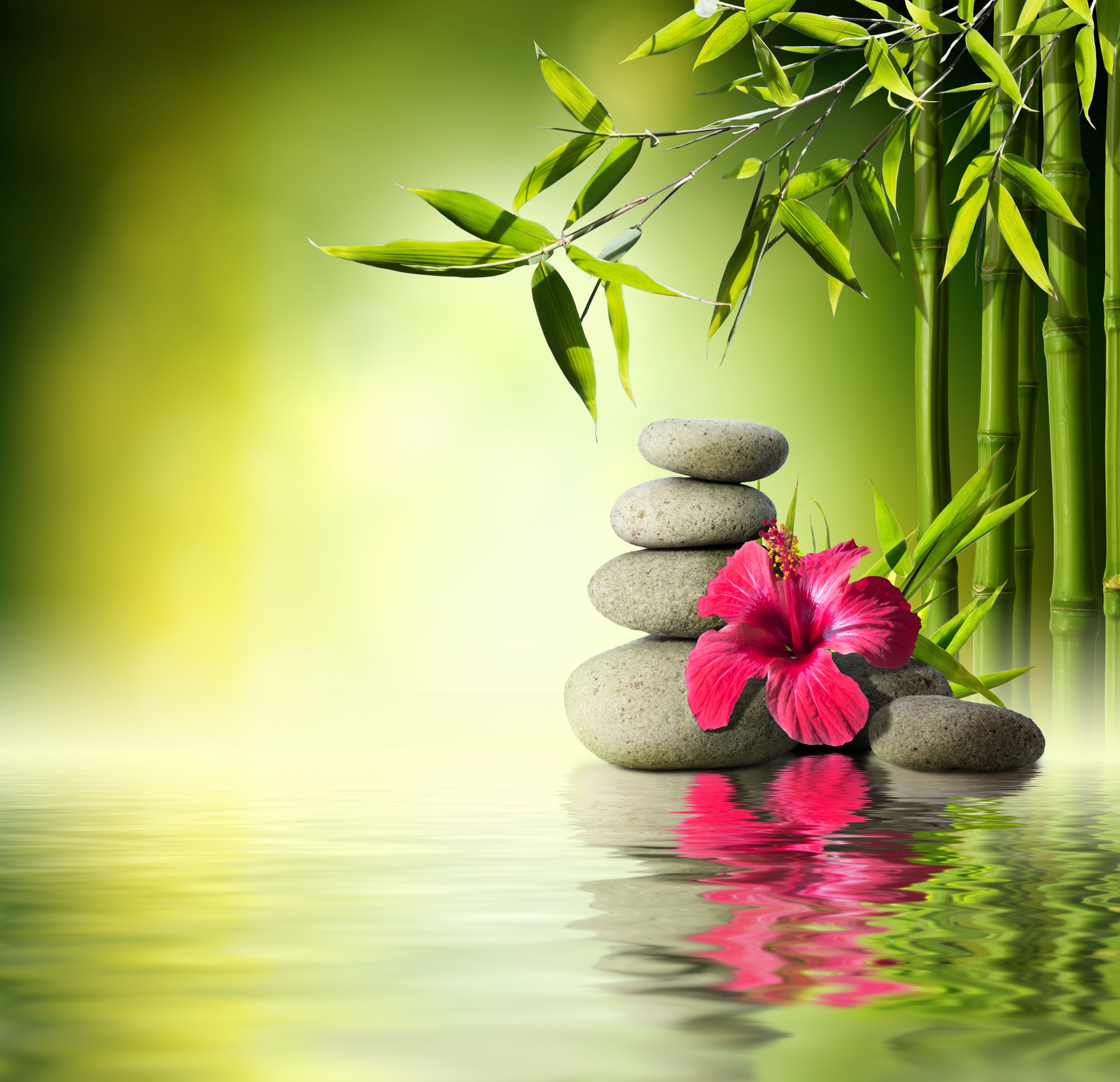 near, stone - Object, alternative Therapy, bamboo, water, solid, no people, wellbeing, plant part, stability, plant, spa, rock, hibiscus, gray, bamboo - Plant, HD Wallpaper