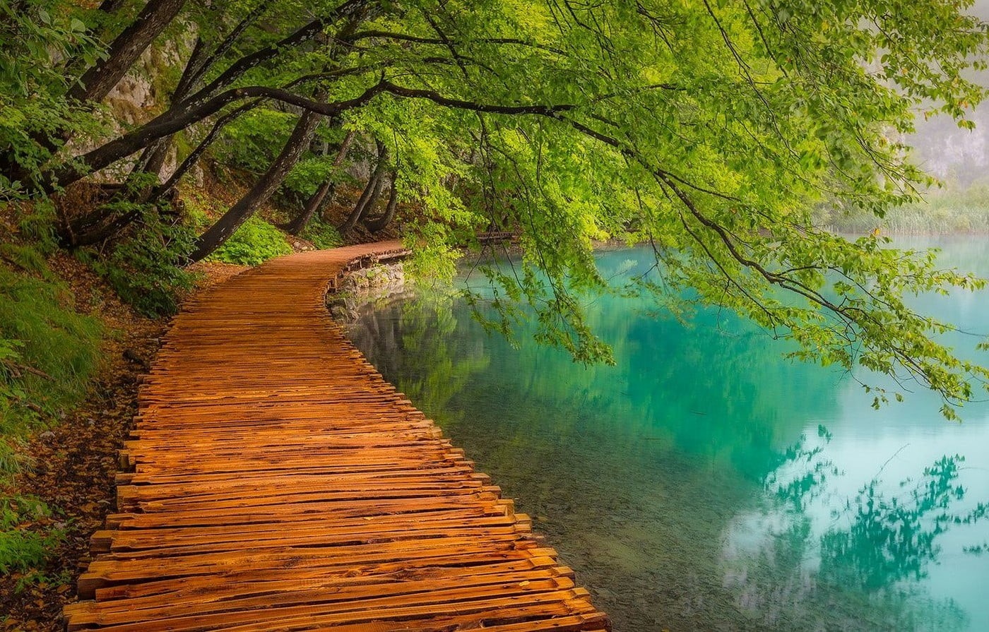 tourism, travel destinations, near, no people, non-urban scene, Plitvice National Park, outdoors, environment, plant, walkway, photography, Croatia, travel, HD Wallpaper