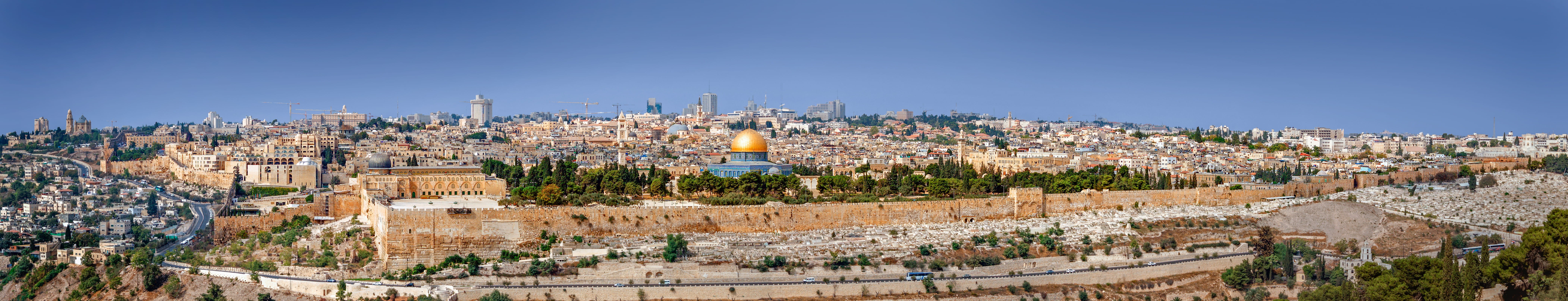 history, cityscape, plant, holy sites, city, building, tree, building exterior, aerial view, nature, jerusalem, architecture, sky, travel destinations, HD Wallpaper