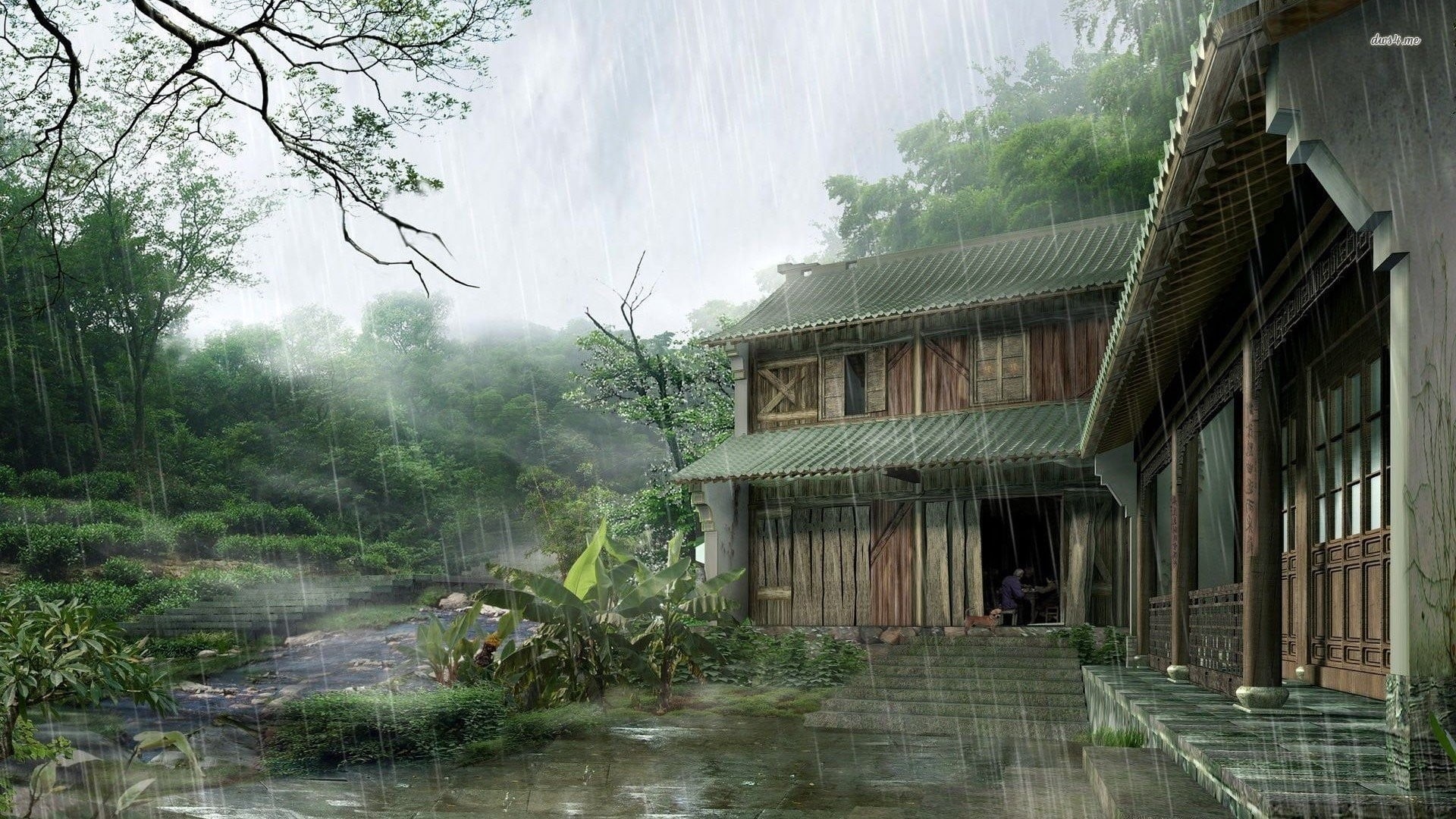 wet, artwork, old, building exterior, sky, growth, house, plants, outdoors, plant, China, tropical Rainforest, forest, architecture, brown, water, painting, HD Wallpaper
