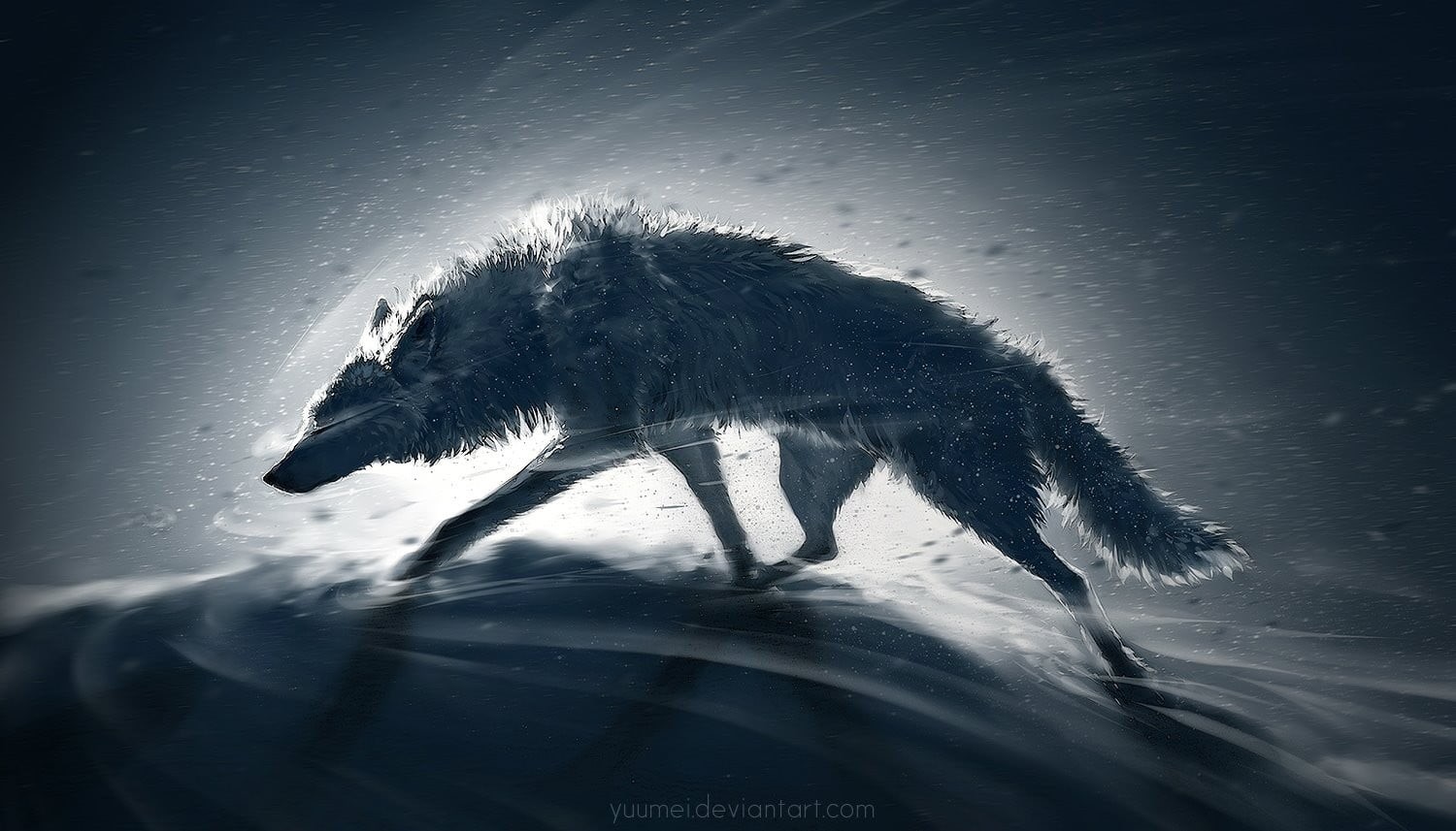sunlight, 720P, undersea, sea, vertebrate, animal themes, mammal, animals, animal, marine, pets, outdoors, animal wildlife, underwater, water, wolf, swimming, HD Wallpaper