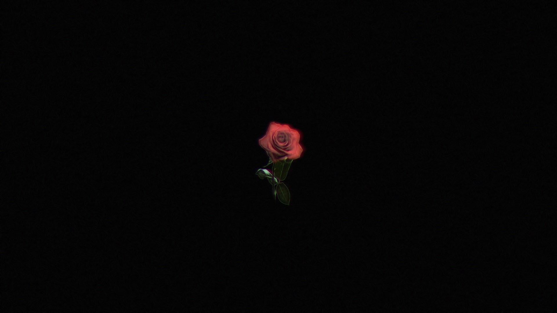 1080P, minimalism, rose, simple background, simple, Photoshop, HD Wallpaper