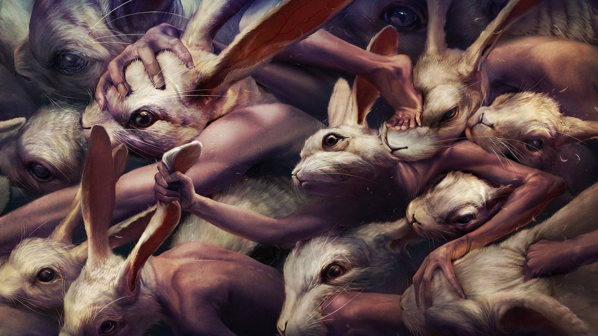 Fightstar, rabbits, 1080P, HD Wallpaper