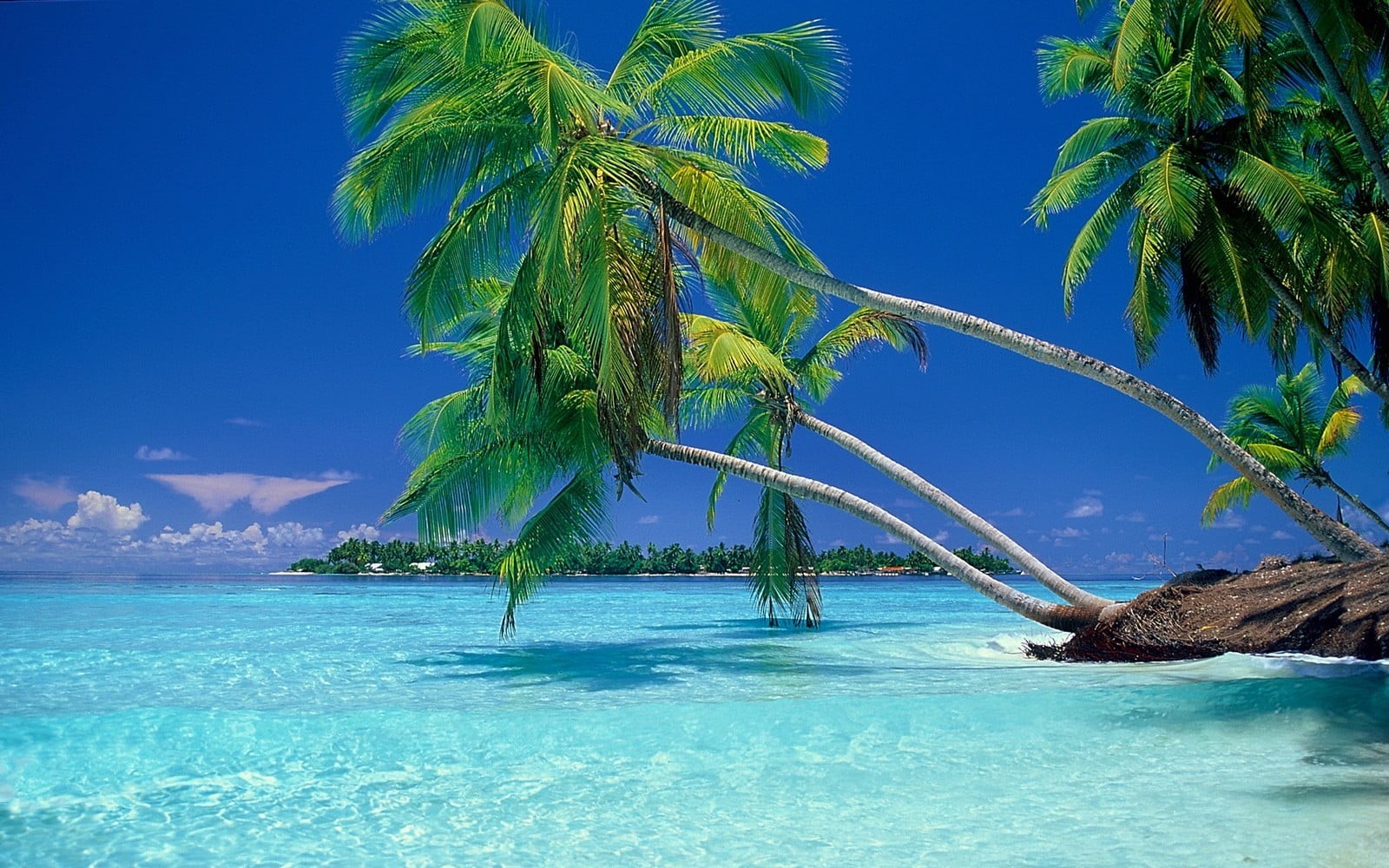 tropical, plant, bay, sky, water, sea, tree, coconut palm tree, 720P, palm trees, outdoors, green, landscape, summer, scenics - nature, idyllic, tranquility, HD Wallpaper
