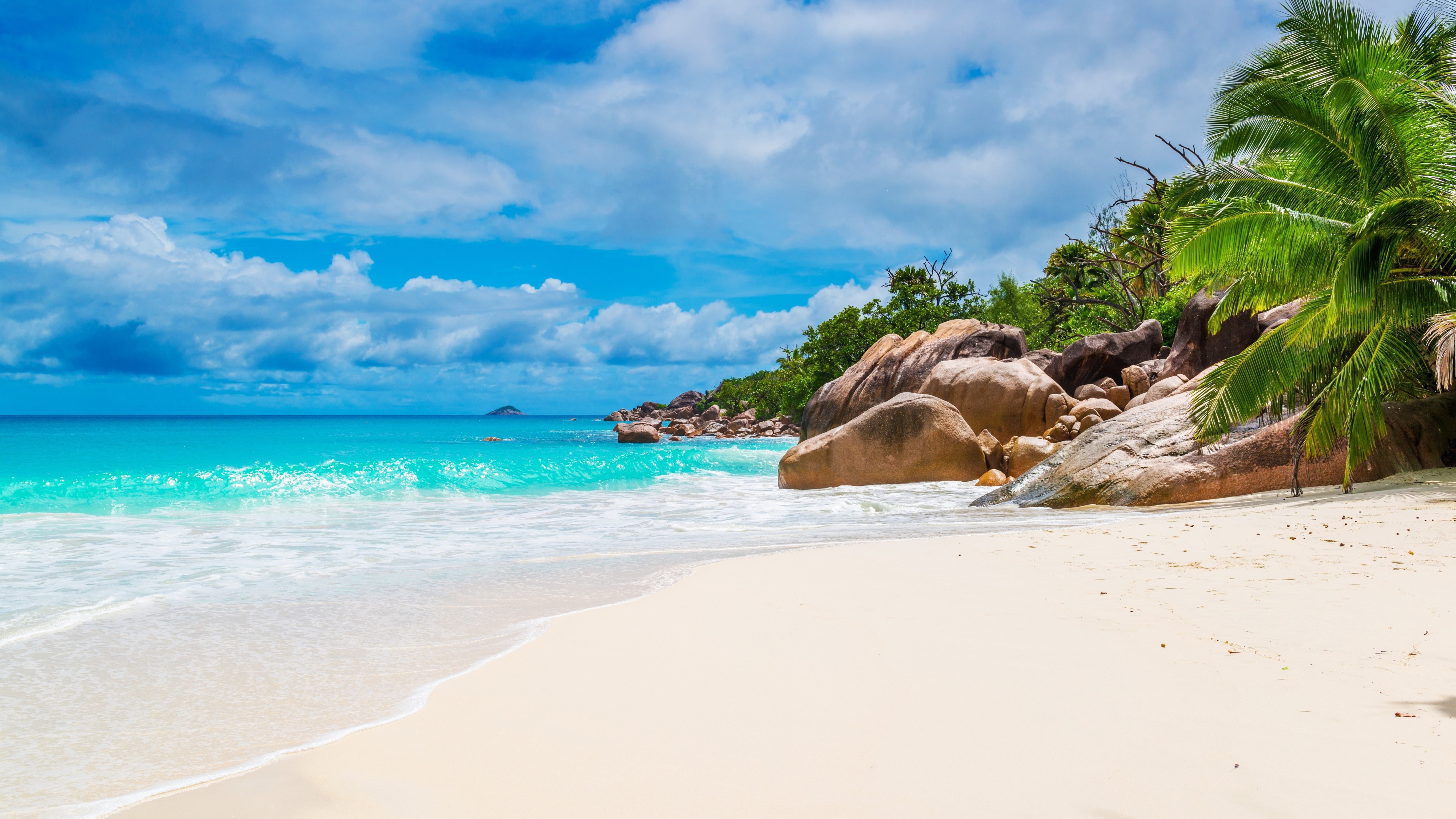 sky, palm tree, tropical, sandy beach, sea, 5K, exotic, bay, tropics, beach, shore, summertime, tropical beach, turquoise water, summer, coast, ocean, HD Wallpaper