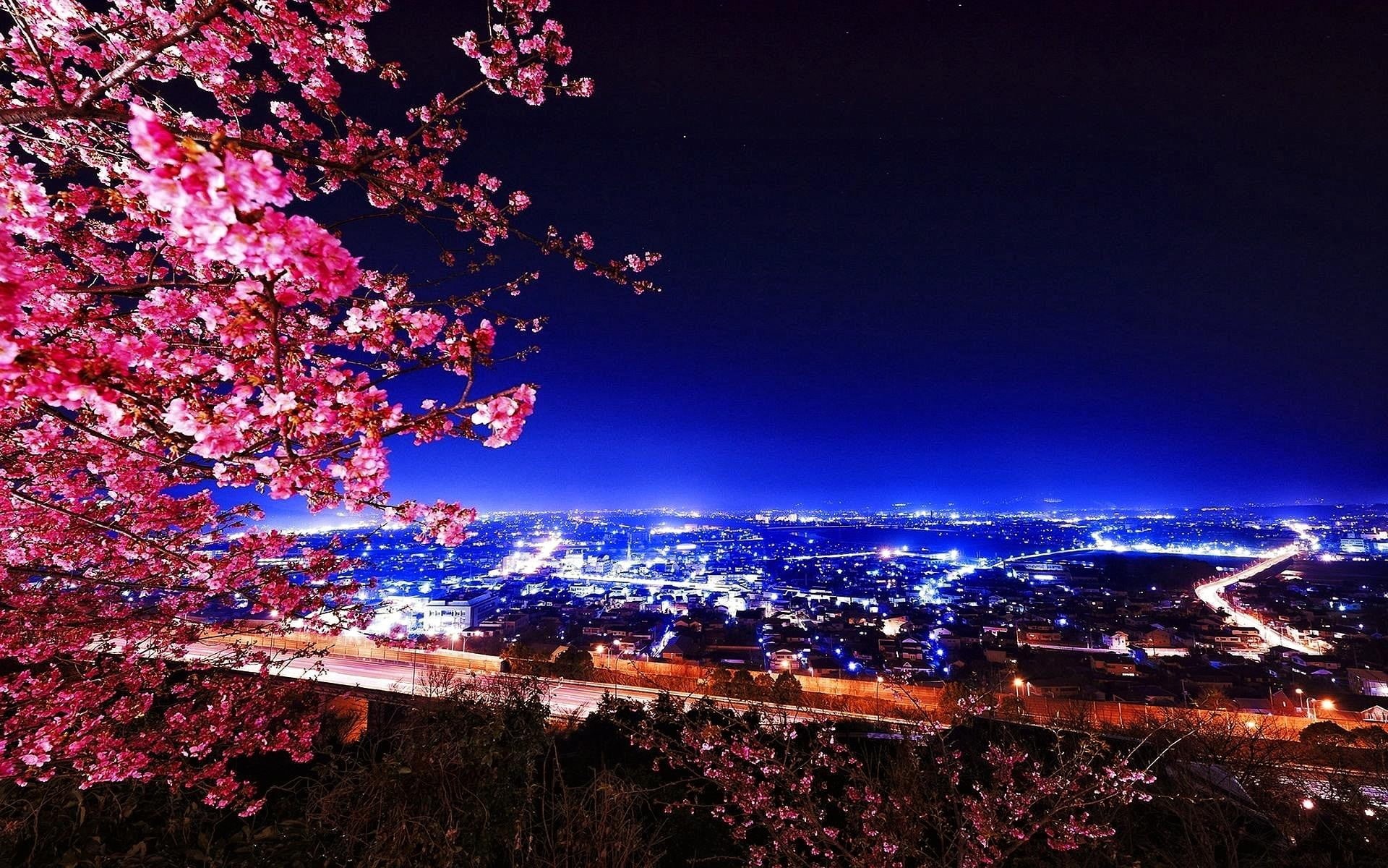 illuminated, growth, night, high angle view, cherry tree, architecture, nature, beauty in nature, outdoors, Japan, building exterior, plant, 1080P, skyscraper, HD Wallpaper