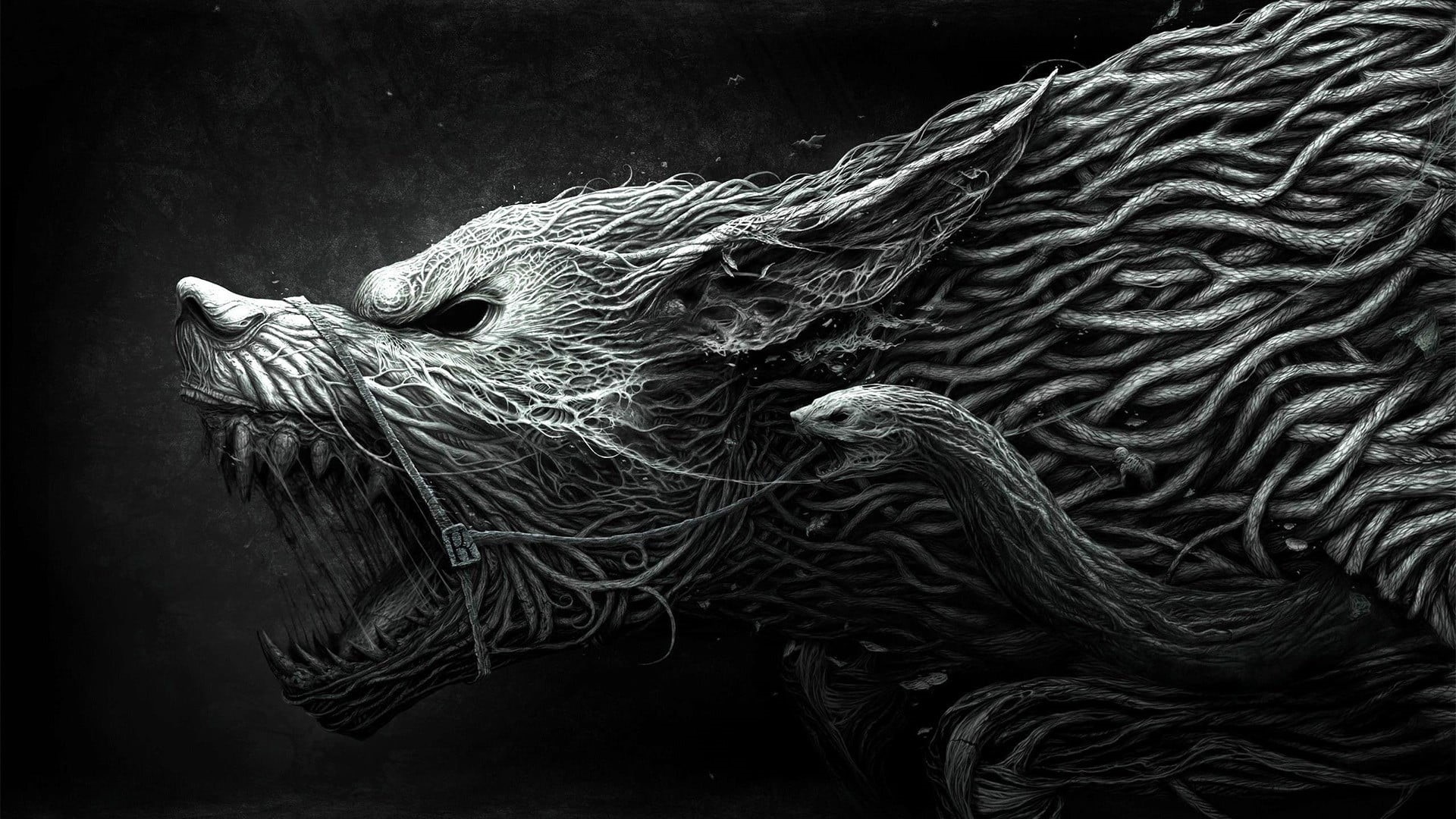 creativity, dark fantasy, horror, close-up, commercial fishing net, animal, black background, beast, textile, no people, fishing net, creature, day, digital art, HD Wallpaper