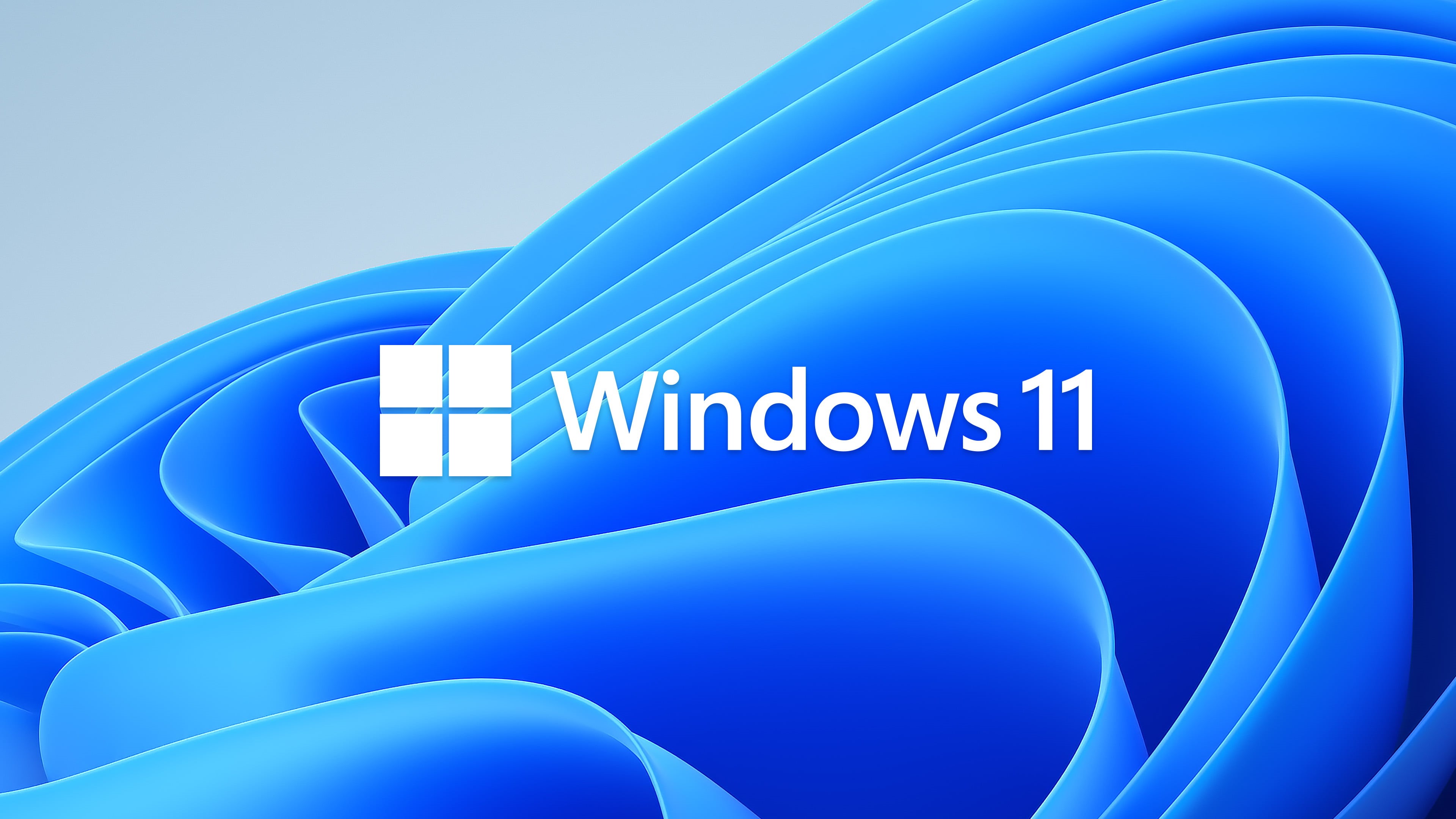Microsoft, windows 11, 4K, simple, HD Wallpaper