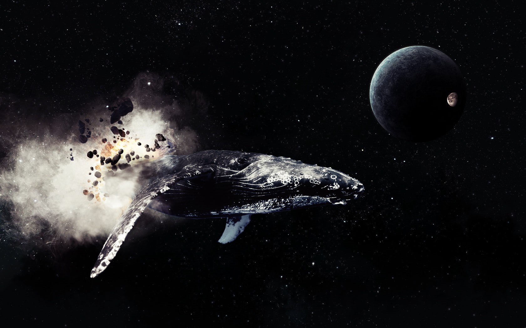 indoors, space, close-up, whale, 720P, Moon, studio shot, animal, water, nature, animal wildlife, animals in the wild, motion, marine, no people, planet, HD Wallpaper