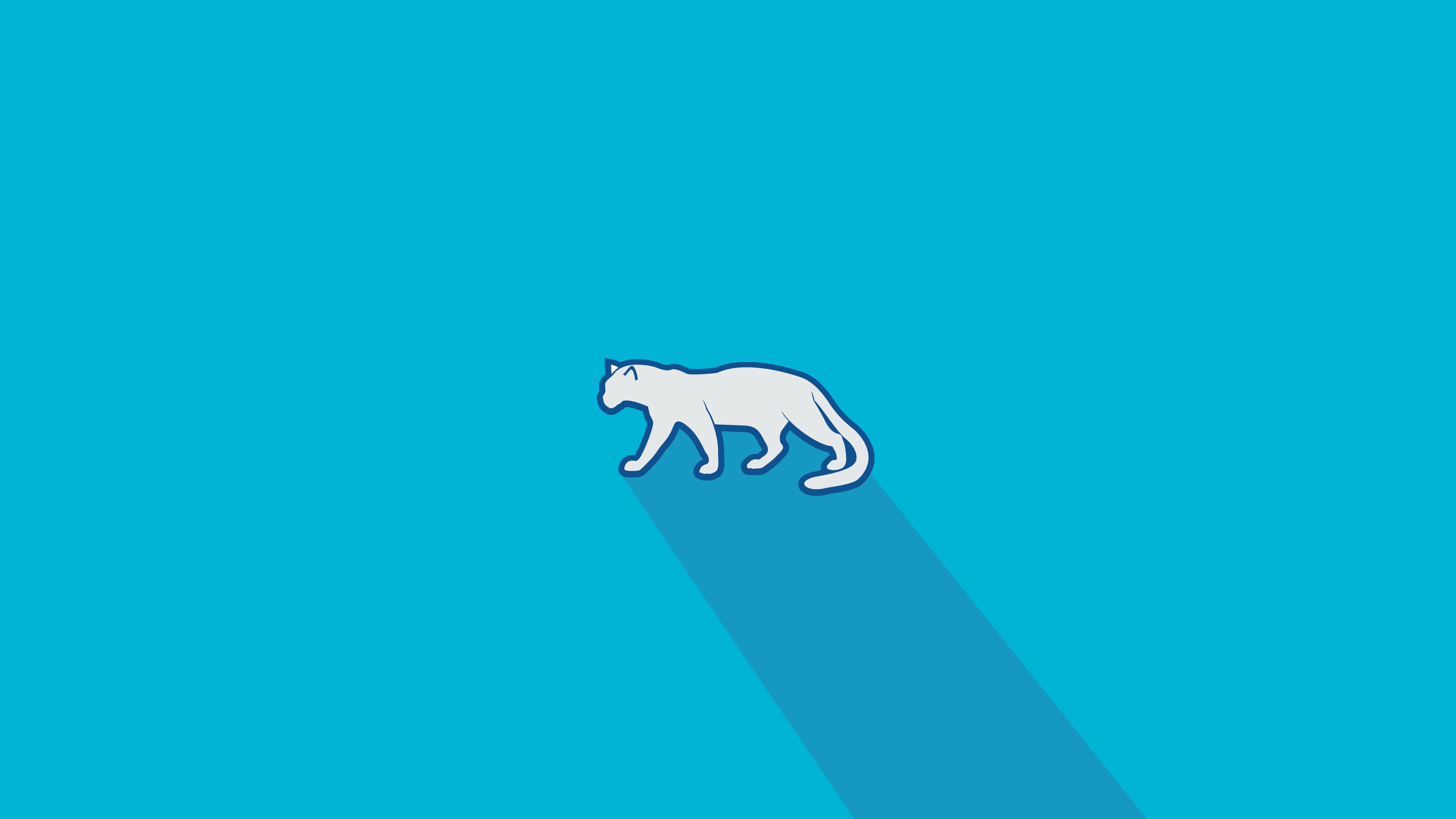 Linux, 4K, minimalism, Flatdesign, Long shadow, Pardus, HD Wallpaper