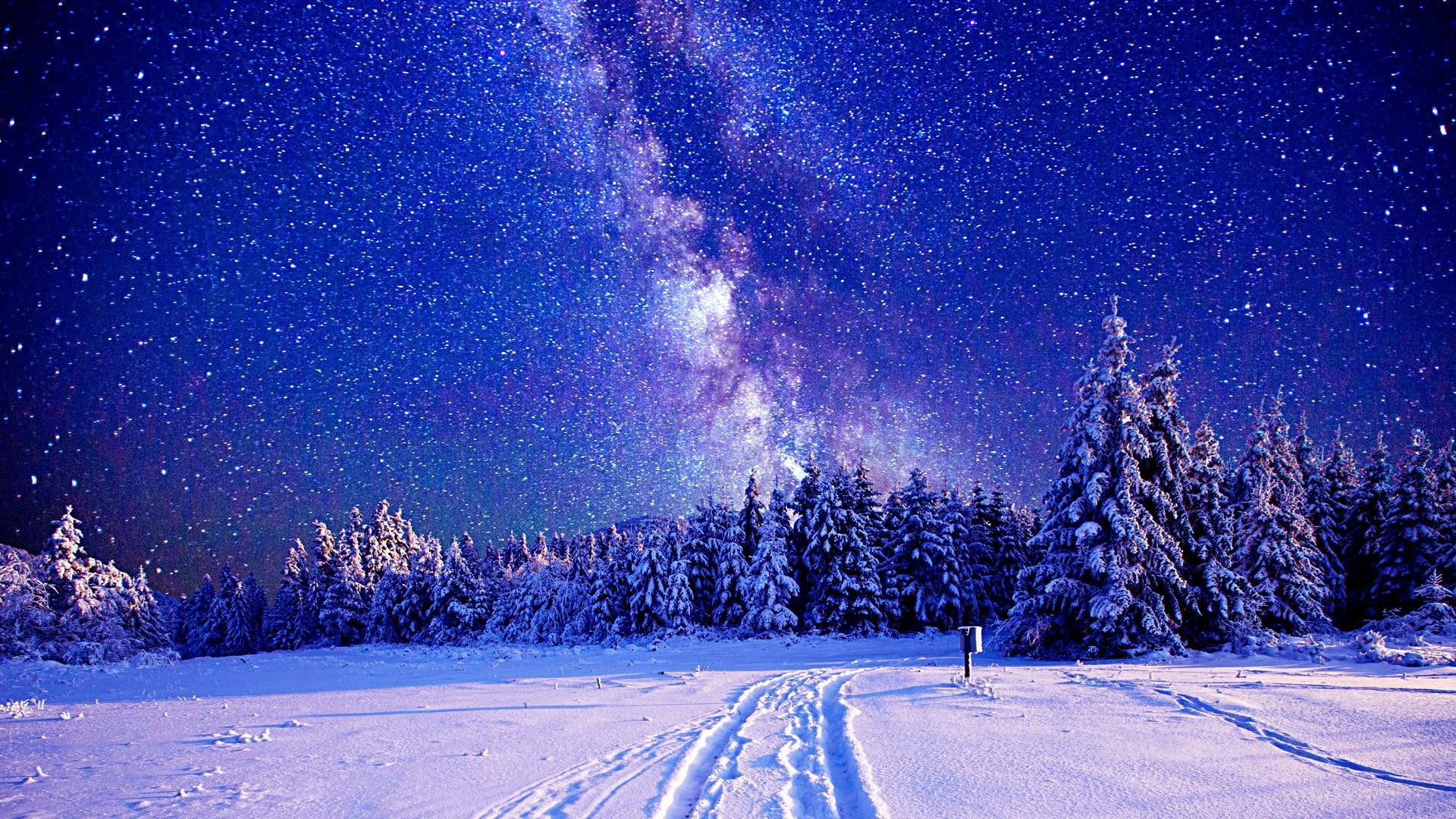 milky way, night, starry, forest, winter, sky, stars, snowy, 1080P, starry night, night sky, HD Wallpaper