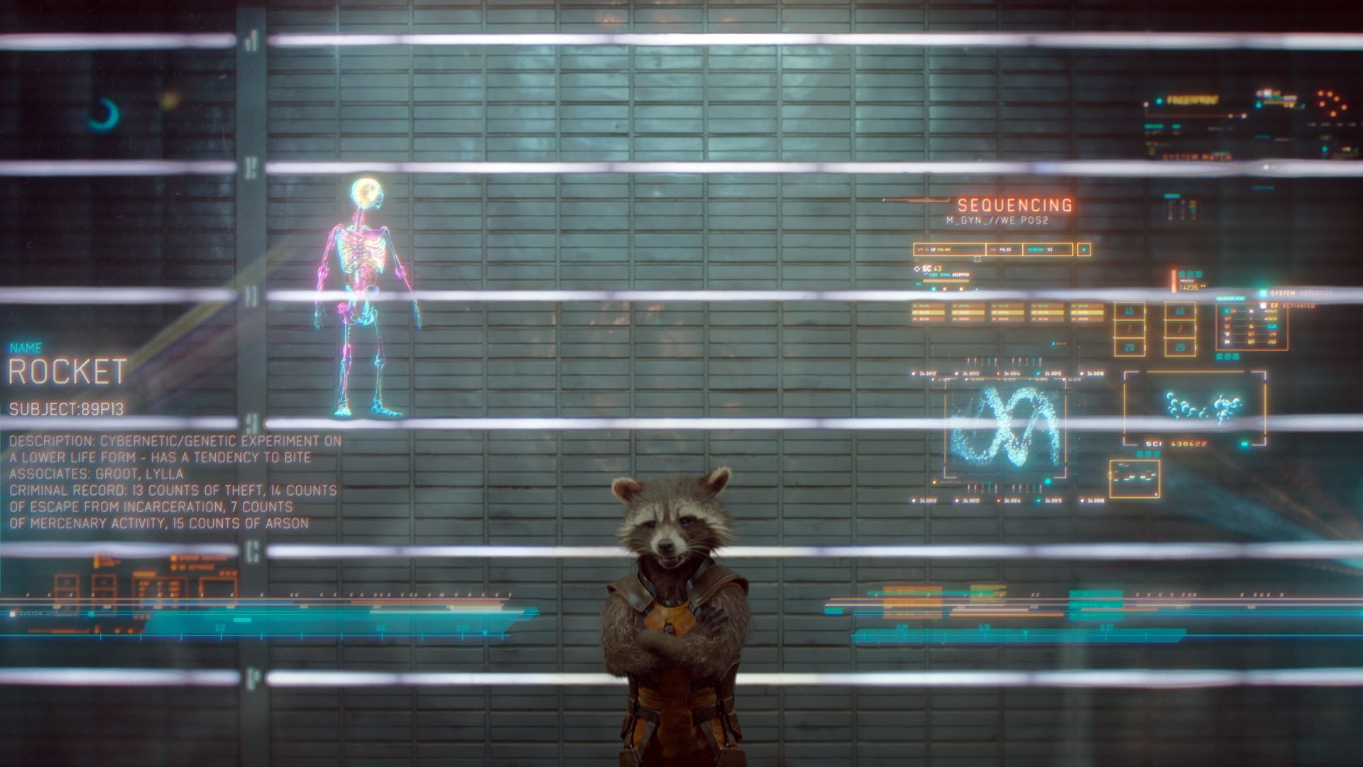 hd, the, guardians, marvel, galaxy, rocket, 1080P, movies, raccoon, HD Wallpaper