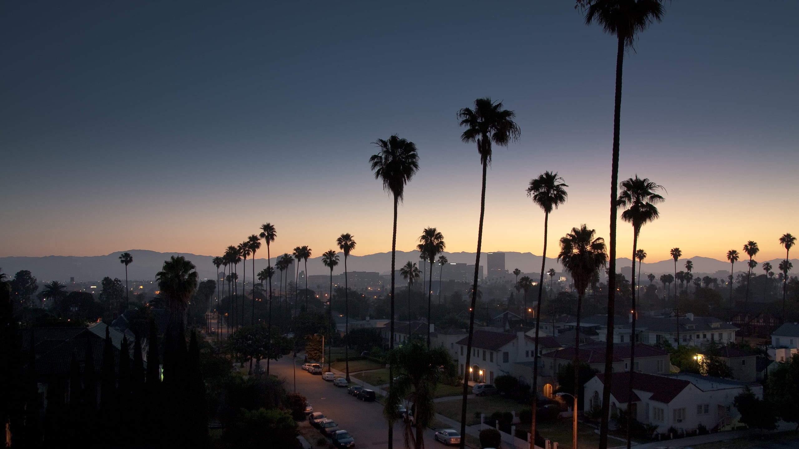 coconut palm tree, sunset, vacations, sunlight, building exterior, scenics - nature, palm trees, sun, tropical Climate, california, night, houses, travel Destinations, HD Wallpaper