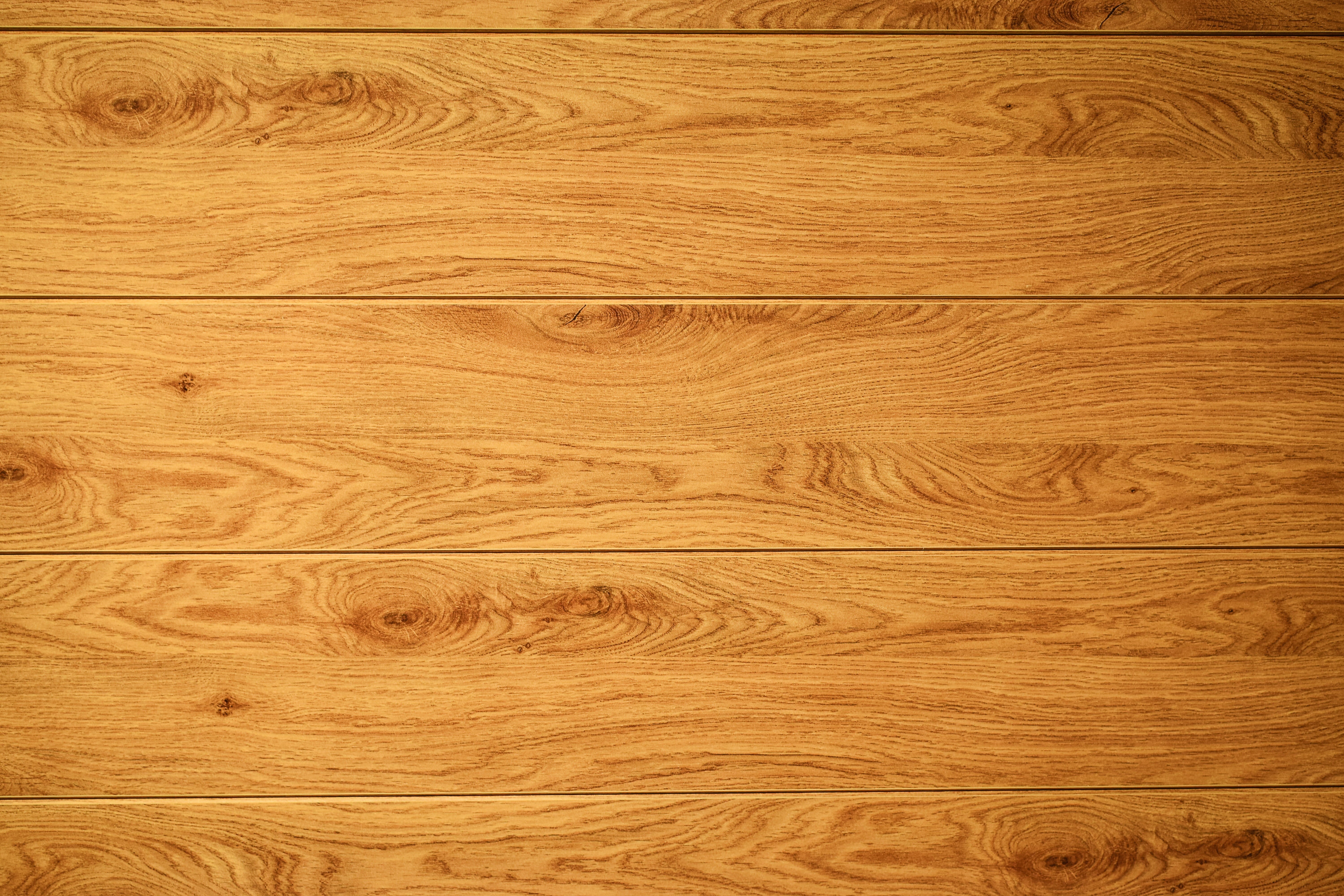 board, pine tree, timber, wood paneling, building material, copy space, wood - material, boards, pine wood, surface level, floors, flooring, HD Wallpaper