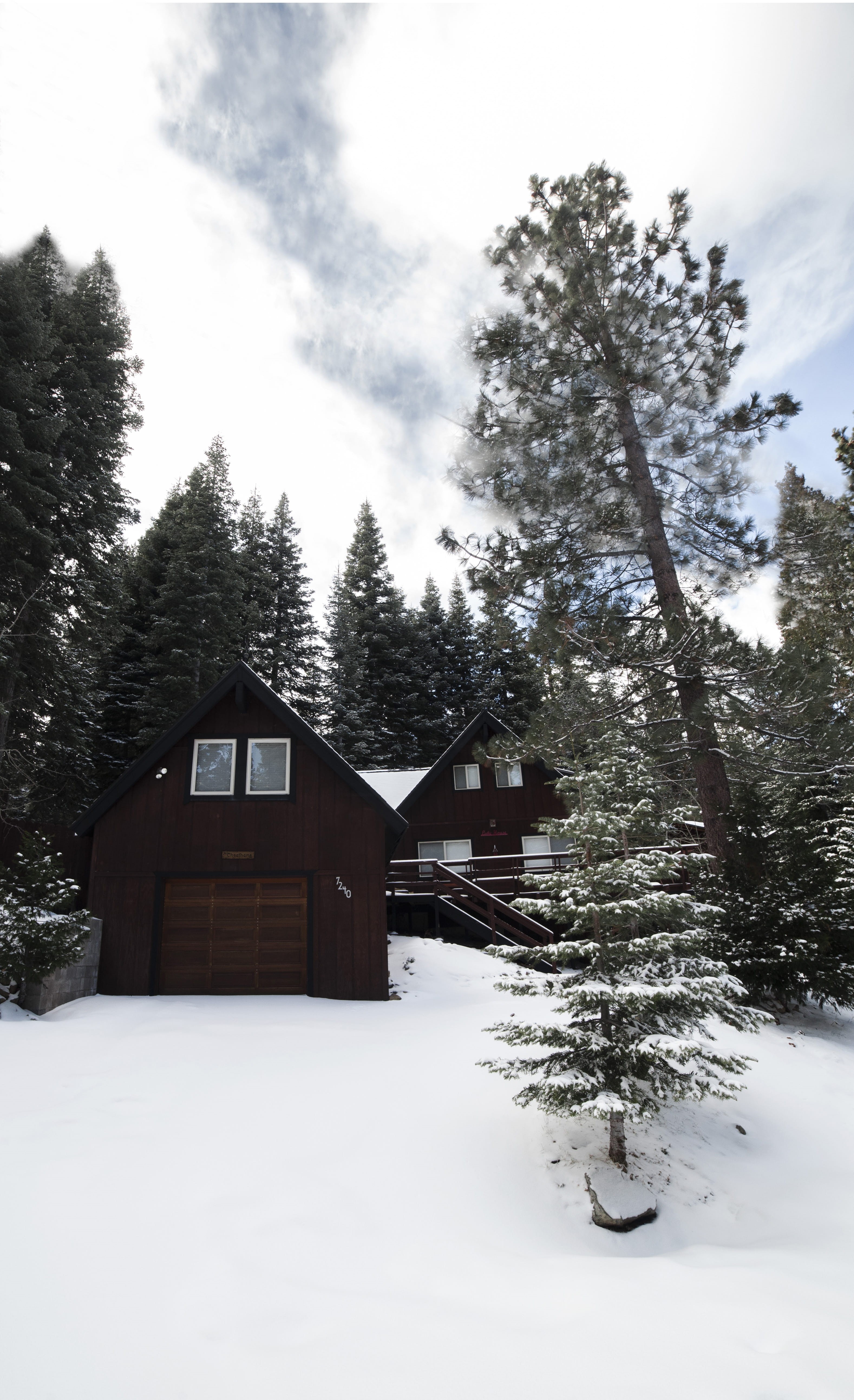 icy, architecture, ice, plant, clouds, pine tree, cottage, land, bungalow, green, winter, winter landscape, building, beauty in nature, zing, building exterior, Phone HD Wallpaper
