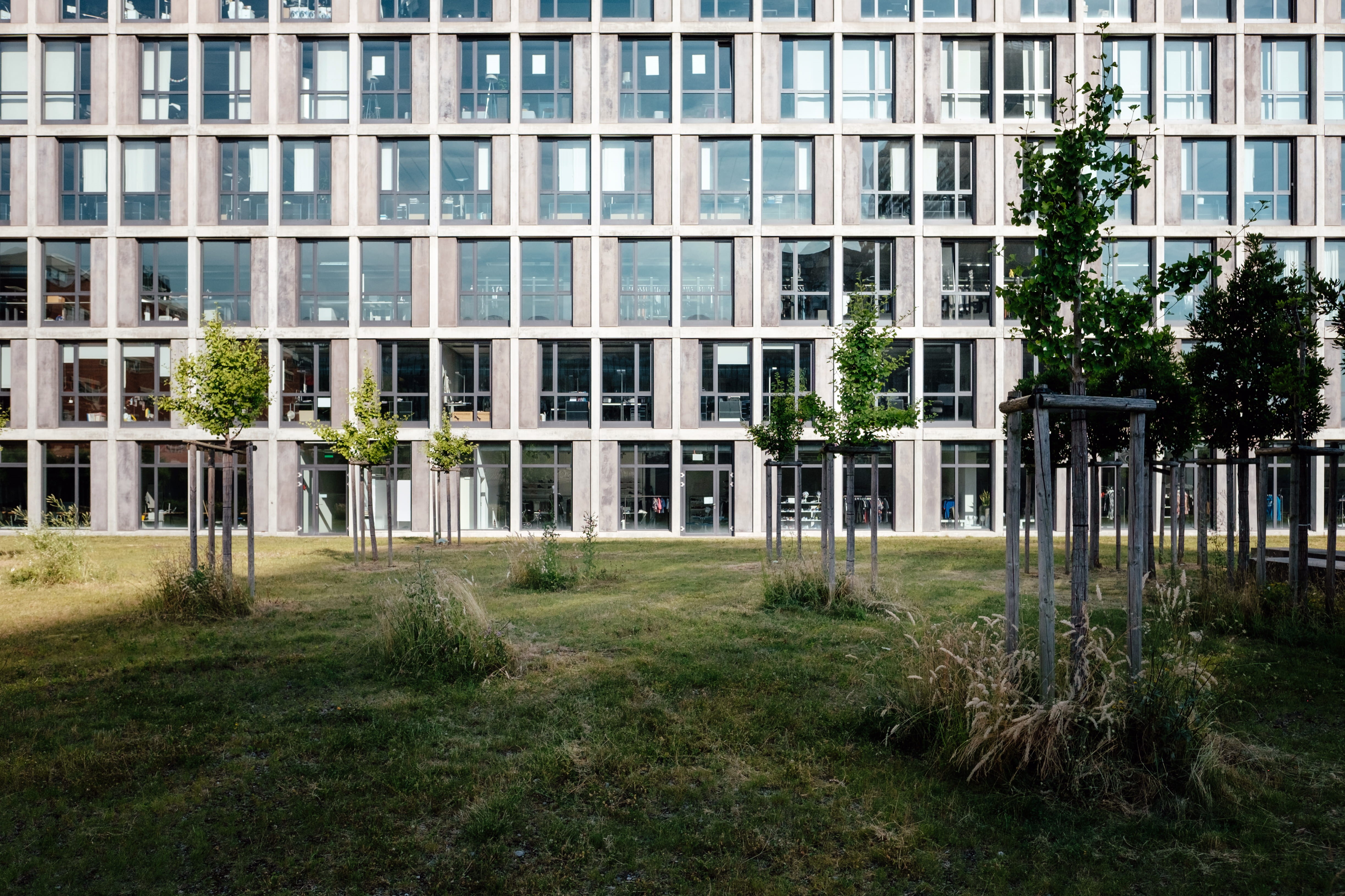 public park, growth, office building exterior, swiss, summer, construction, walls, green color, building exterior, day, field, nature, natural light, sunlight, HD Wallpaper